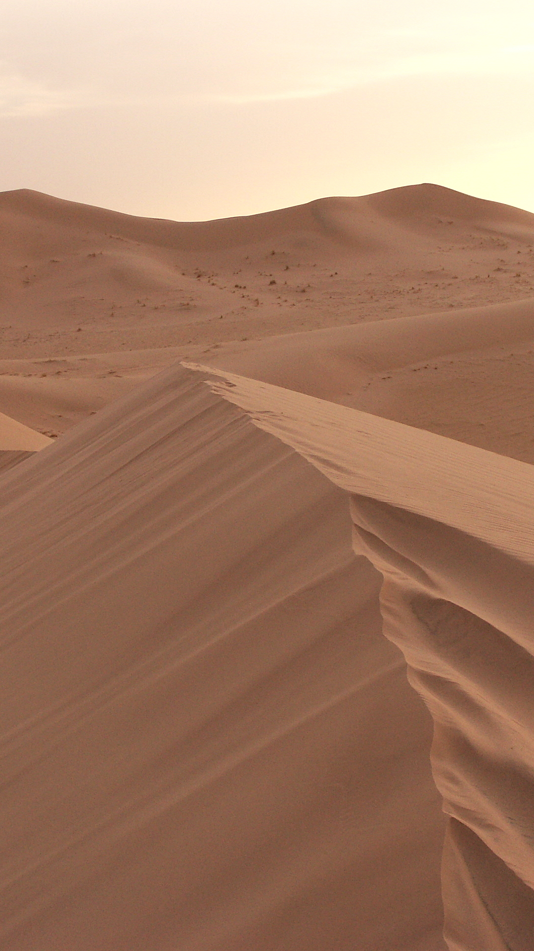 無料モバイル壁紙風景, 地球, 砂丘, サハラ, アフリカ, 荒野, 砂, アルジェリアをダウンロードします。