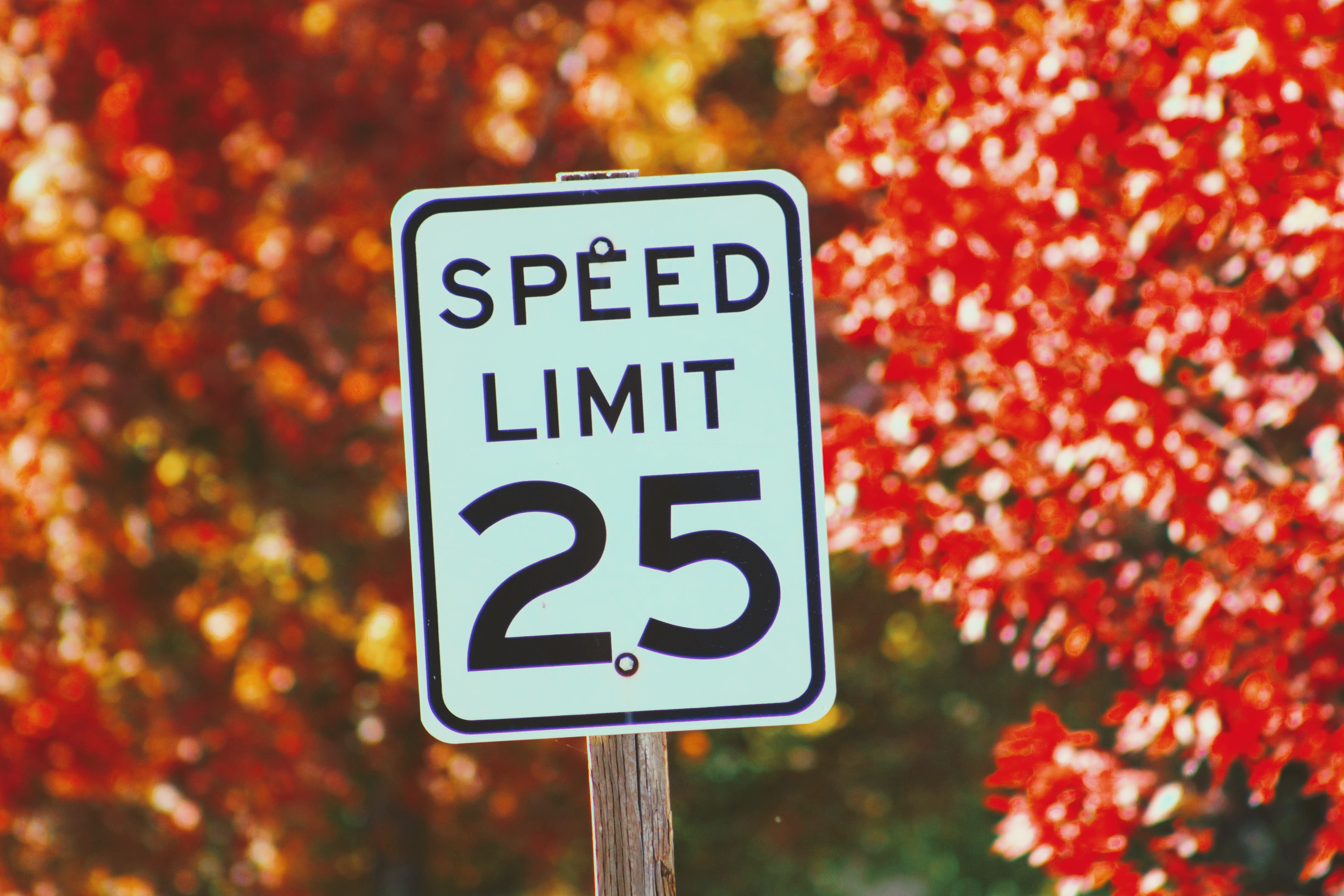nature, autumn, speed, sign, limitation, restriction