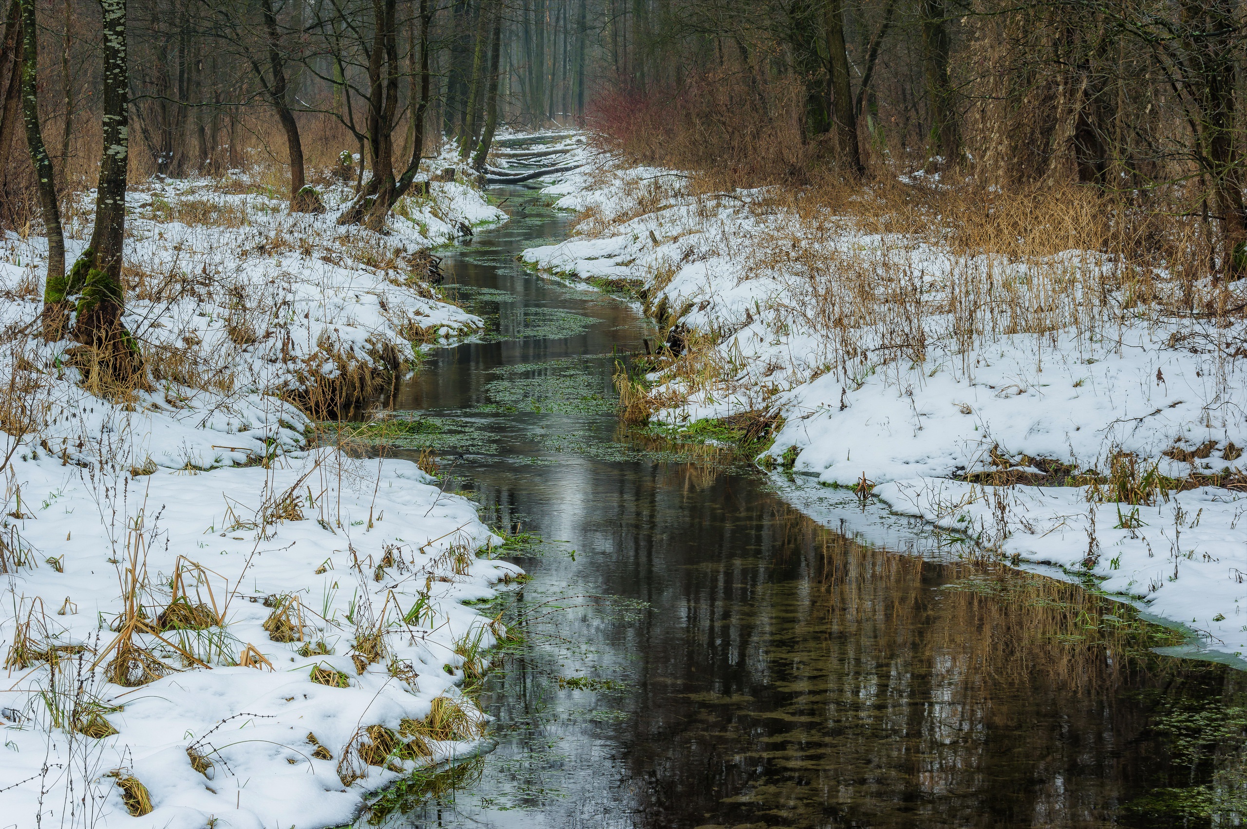 Download mobile wallpaper Winter, Nature, Snow, Forest, Earth, Stream for free.