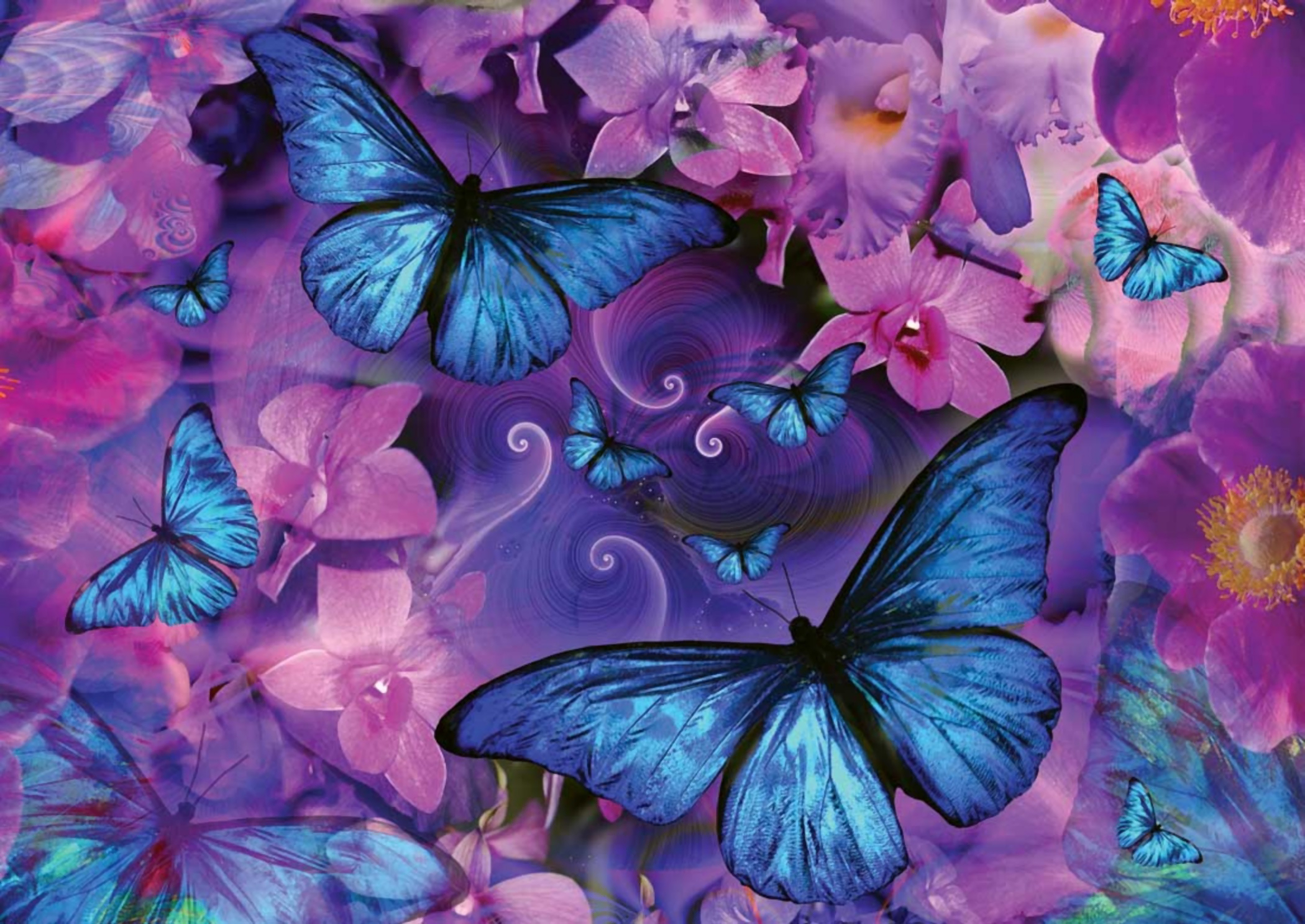 Laden Sie das Rosa, Blume, Schmetterling, Künstlerisch-Bild kostenlos auf Ihren PC-Desktop herunter