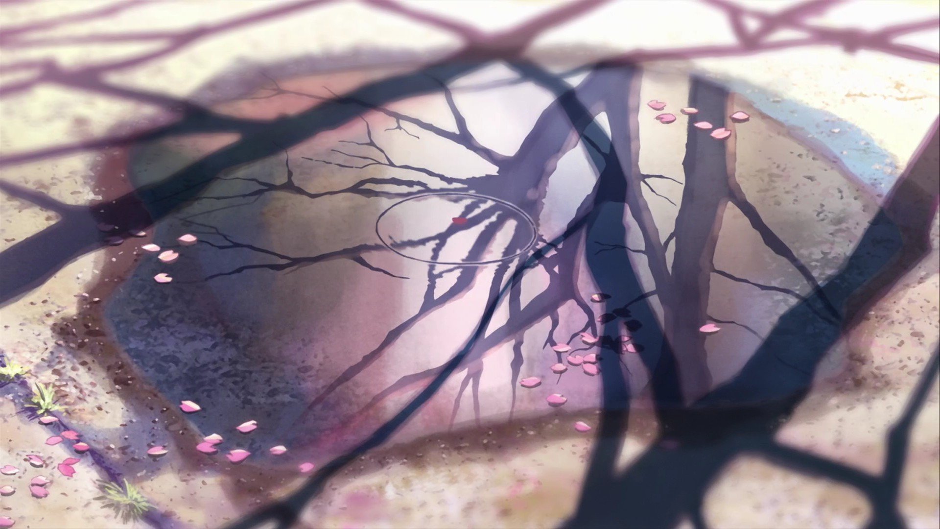 Download mobile wallpaper 5 Centimeters Per Second, Anime for free.