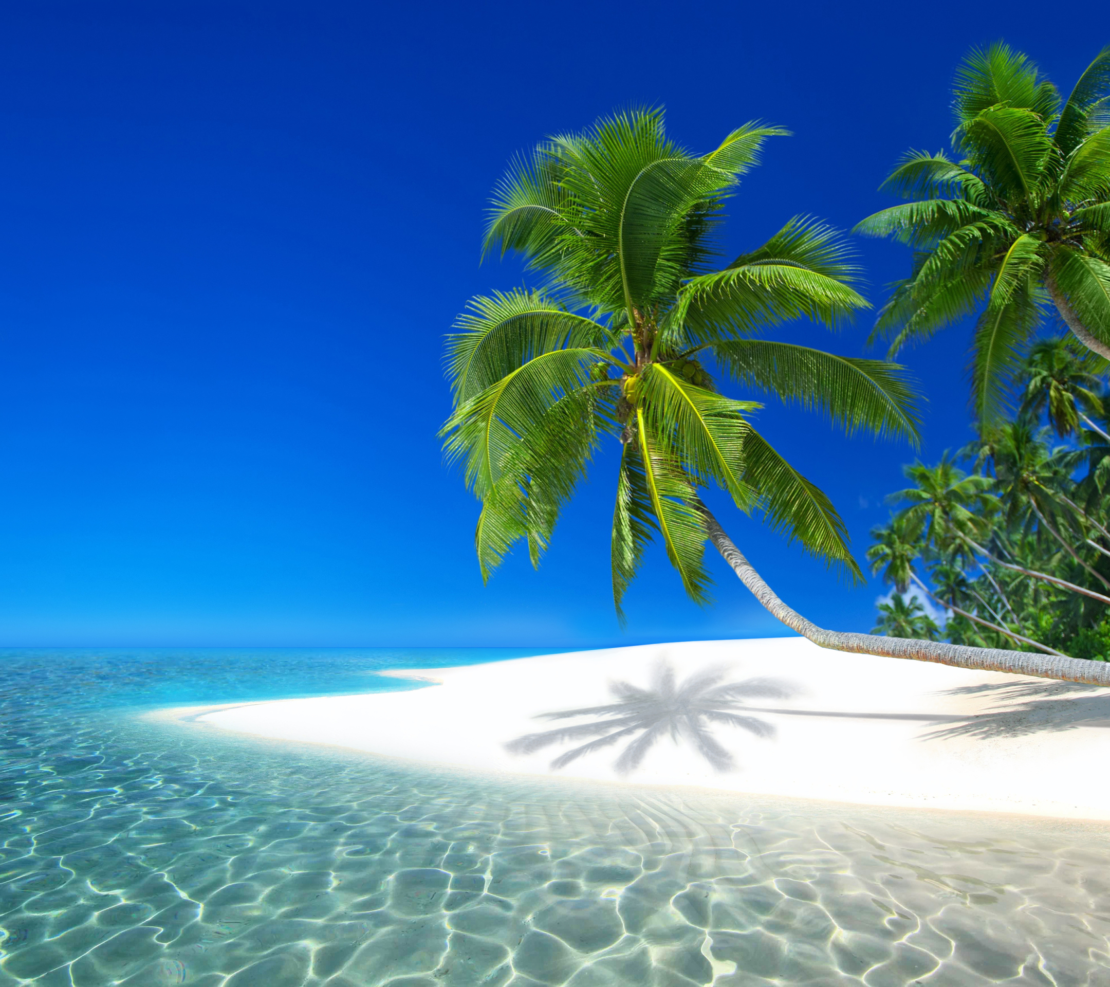 Descarga gratis la imagen Mar, Playa, Isla, Seychelles, Tierra/naturaleza, Palmera, Tropico en el escritorio de tu PC