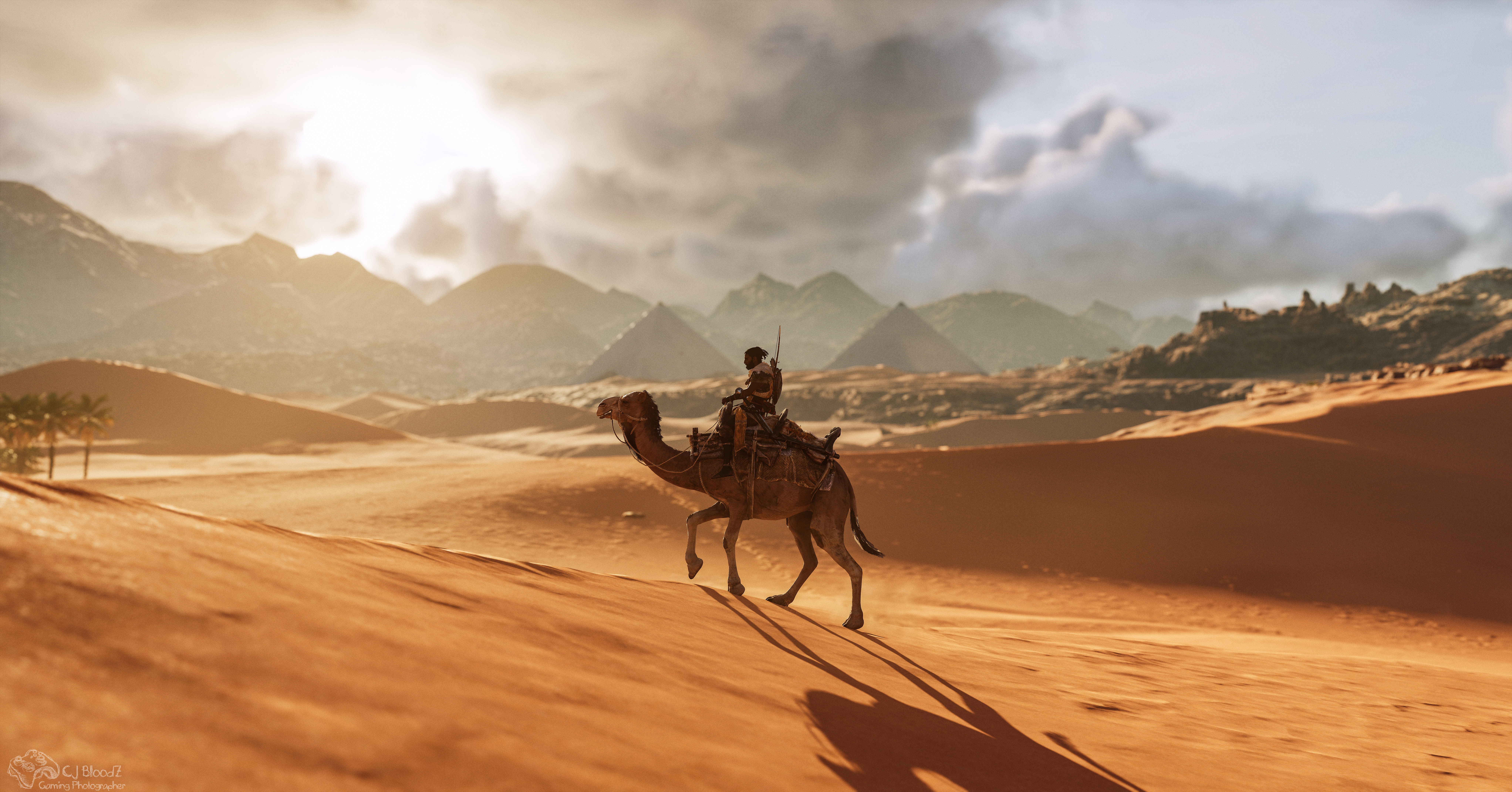 Скачать обои бесплатно Песок, Пустыня, Верблюды, Воин, Видеоигры, Кредо Ассасина, Assassin's Creed: Истоки картинка на рабочий стол ПК