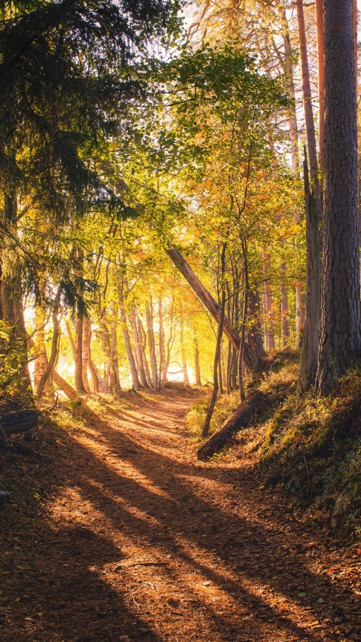 Téléchargez des papiers peints mobile Chemin, Terre/nature gratuitement.