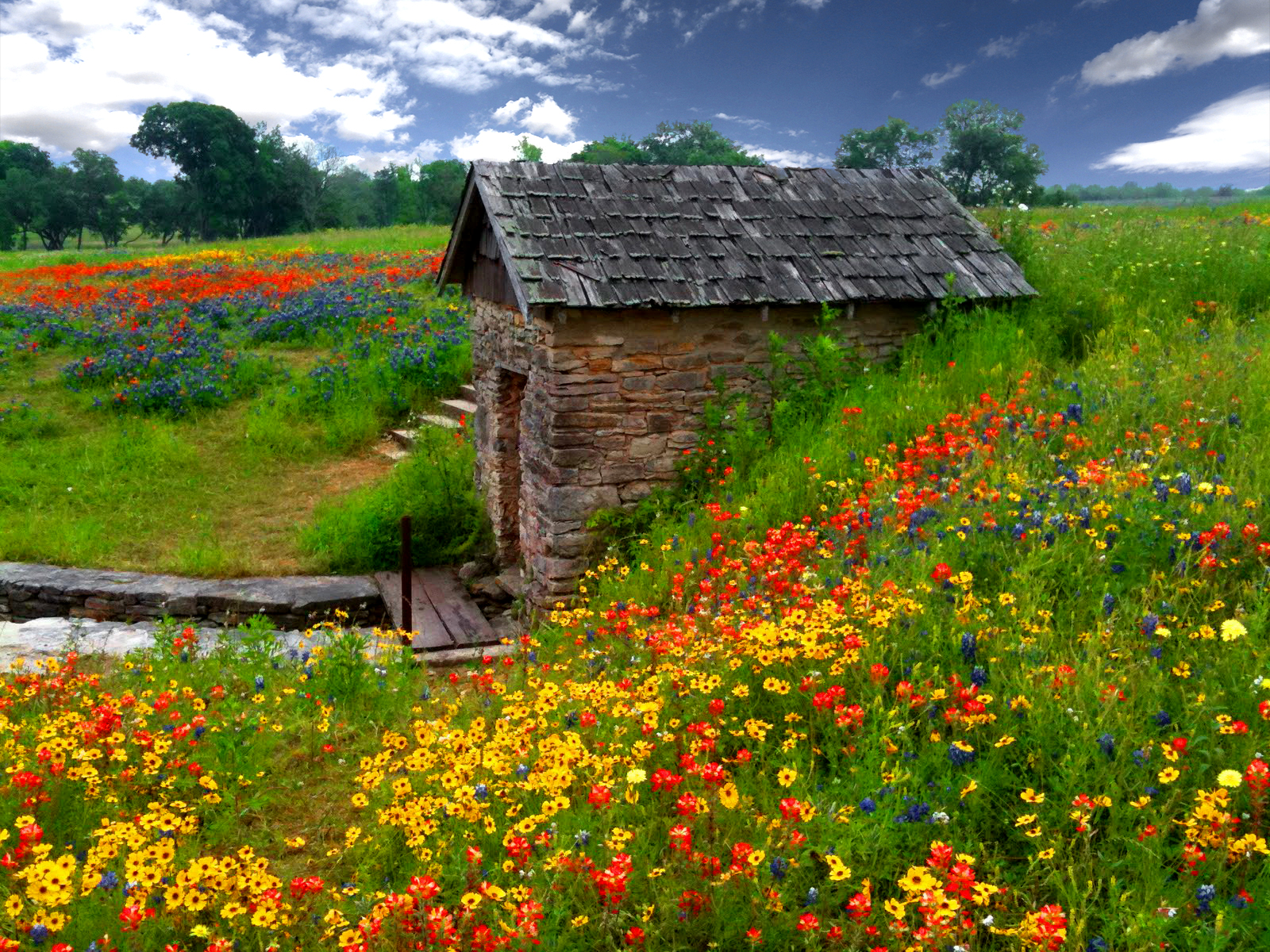Free download wallpaper Grass, Flower, Field, Shed, Man Made on your PC desktop