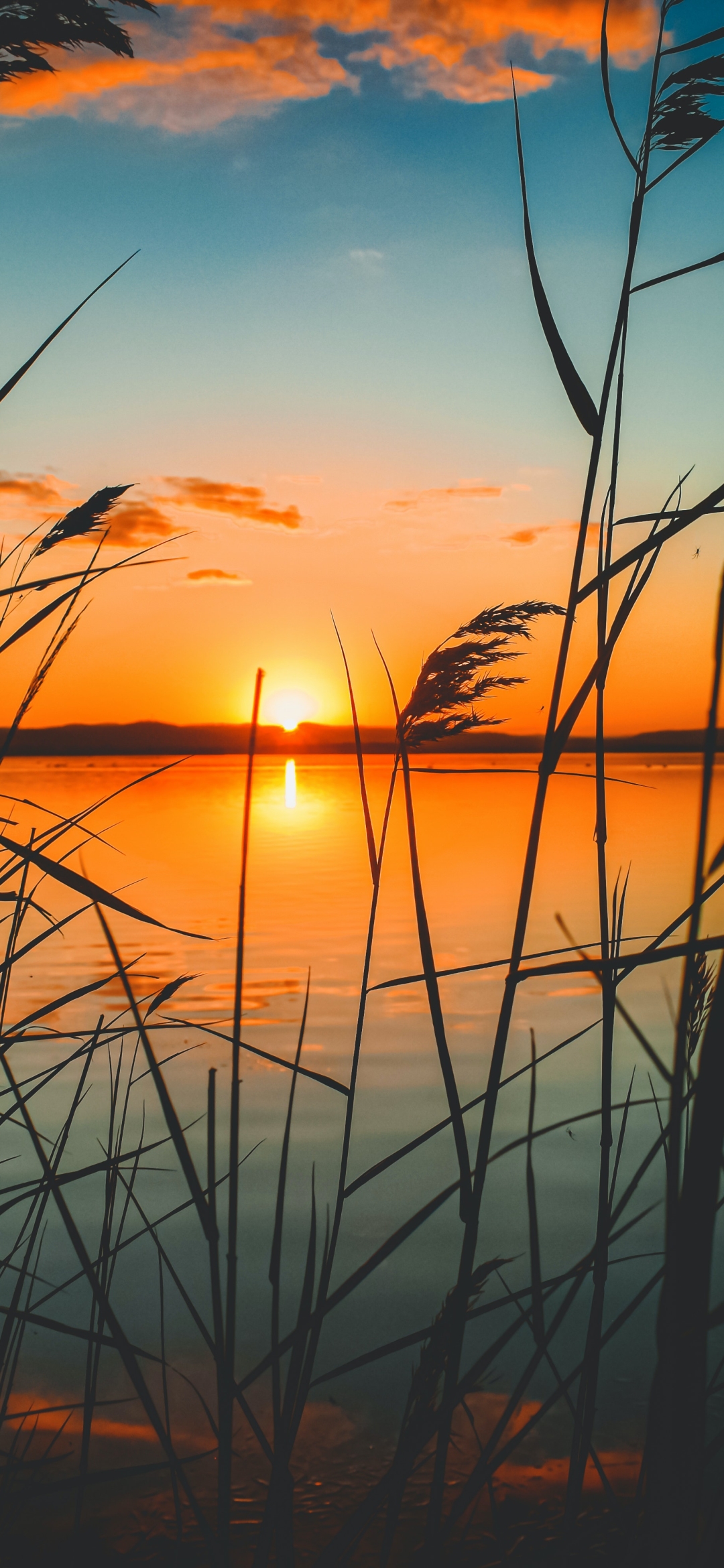 Descarga gratuita de fondo de pantalla para móvil de Naturaleza, Lago, Atardecer, Tierra/naturaleza.