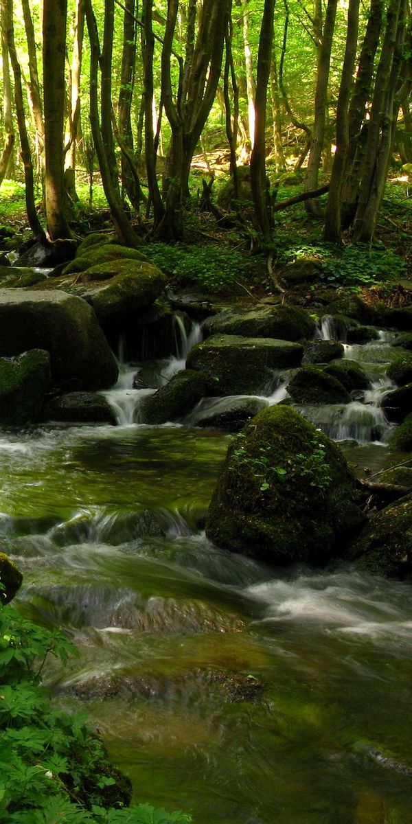 Desktop wallpaper: Forest, River, Waterfall, Earth, Landscape, Scenic ...