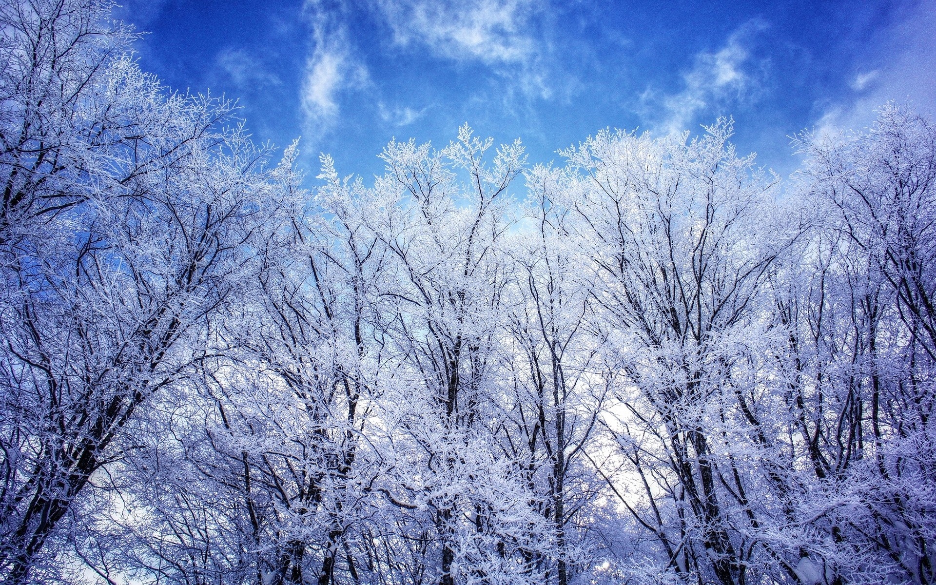 Free download wallpaper Winter, Earth on your PC desktop