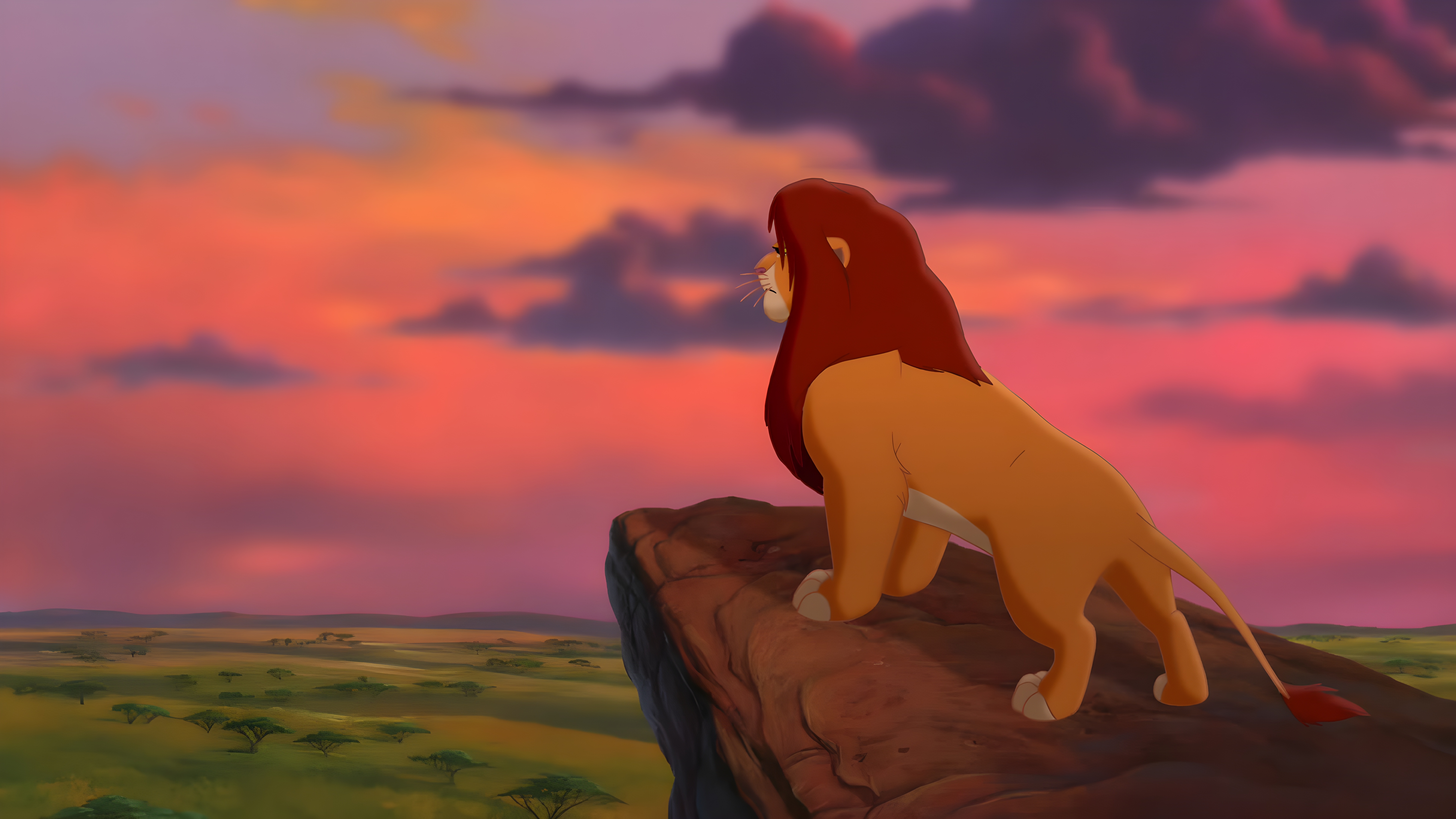 Baixar papel de parede para celular de Leão, Filme, Disney, O Rei Leão, O Rei Leão (1994), Simba gratuito.