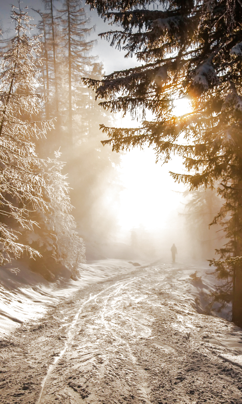 Download mobile wallpaper Landscape, Winter, Nature, Sun, Light, Earth for free.