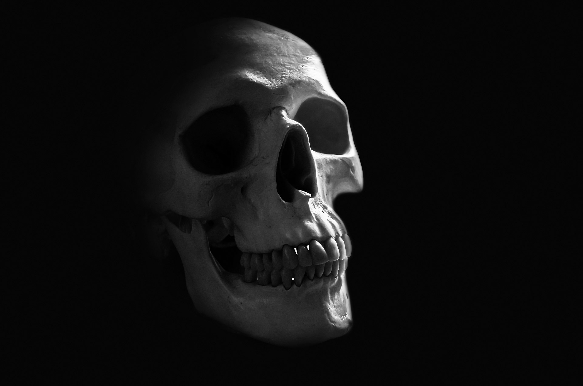 Download mobile wallpaper Dark, Human, Skull, Anatomy, Minimalist for free.