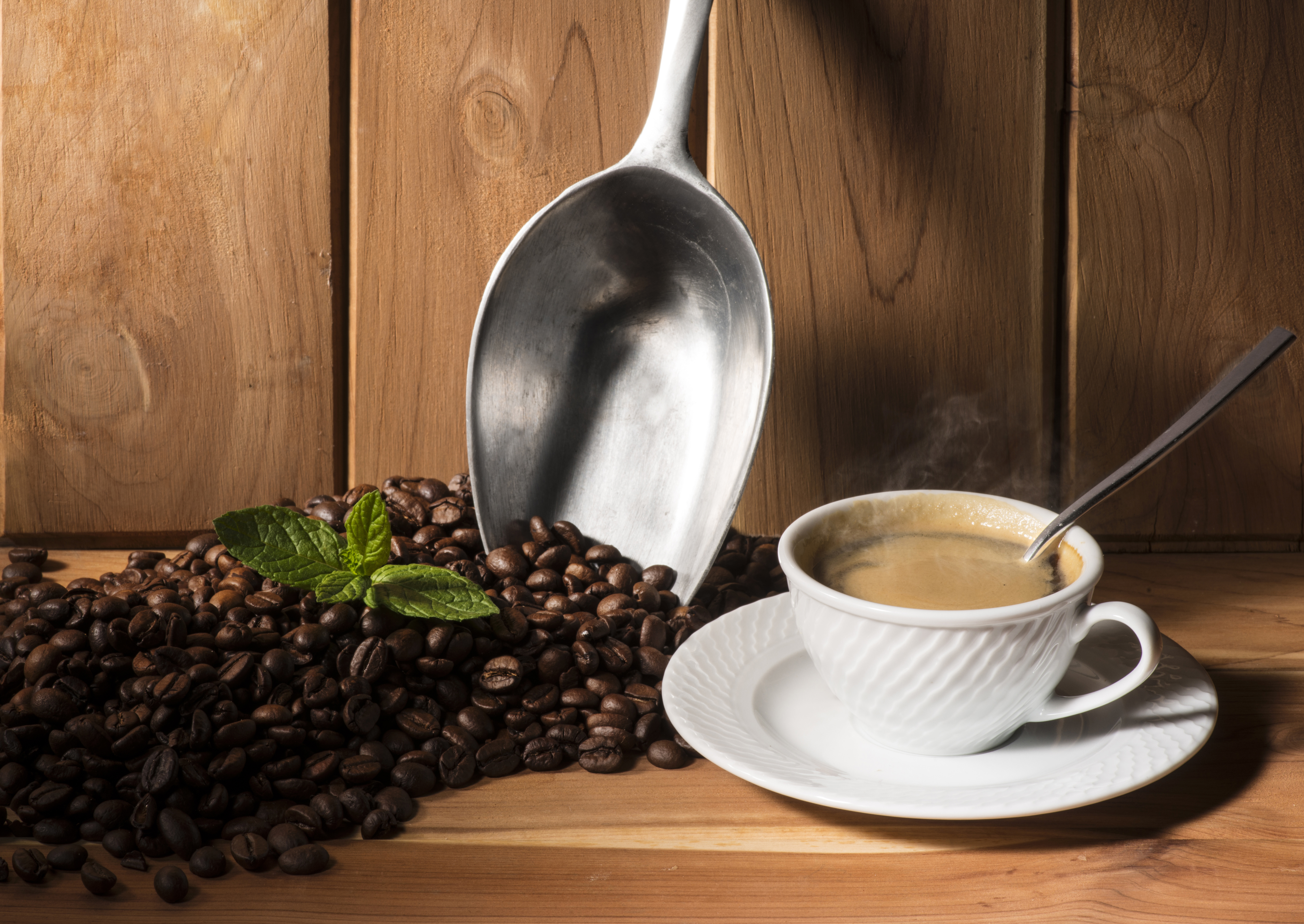 Download mobile wallpaper Food, Coffee, Still Life, Cup, Coffee Beans for free.