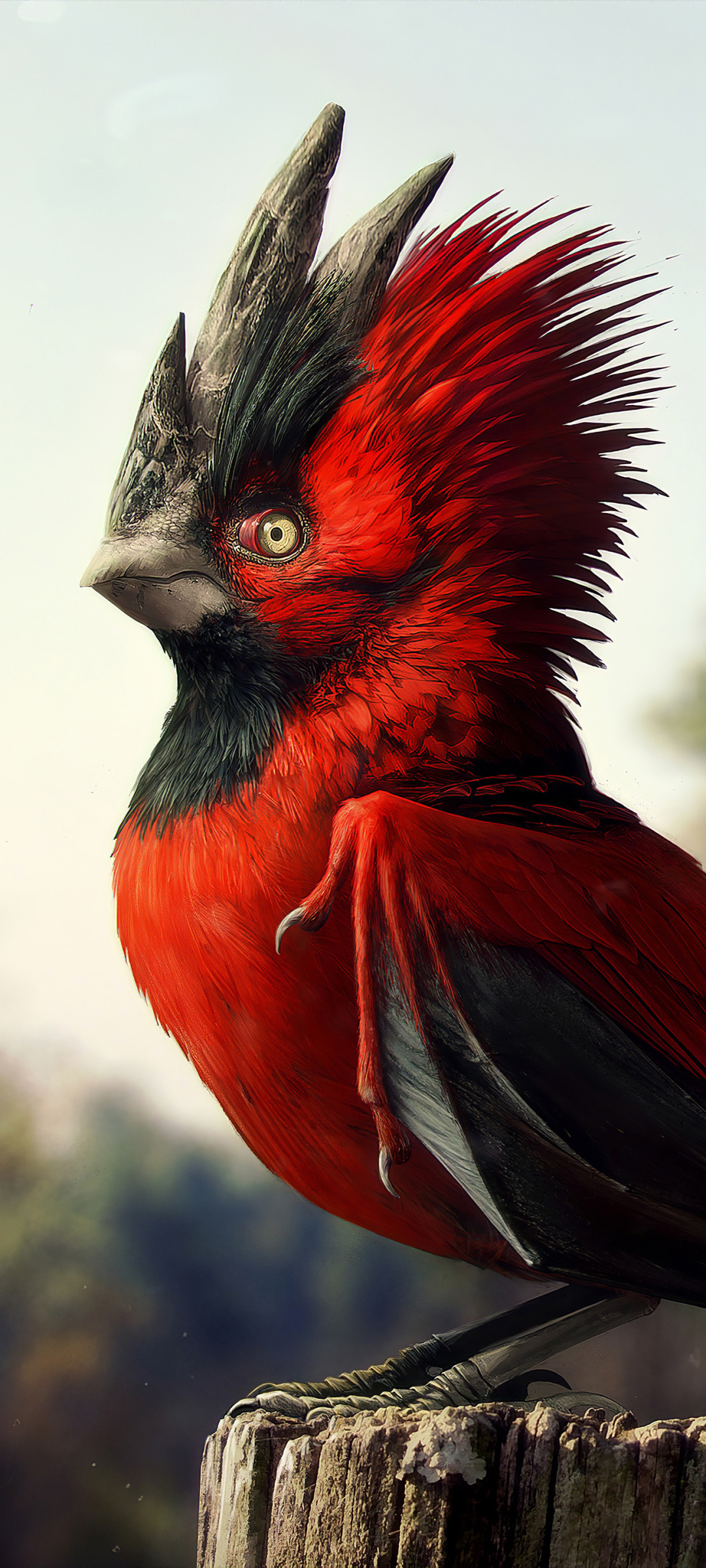 Download mobile wallpaper Birds, Bird, Animal for free.