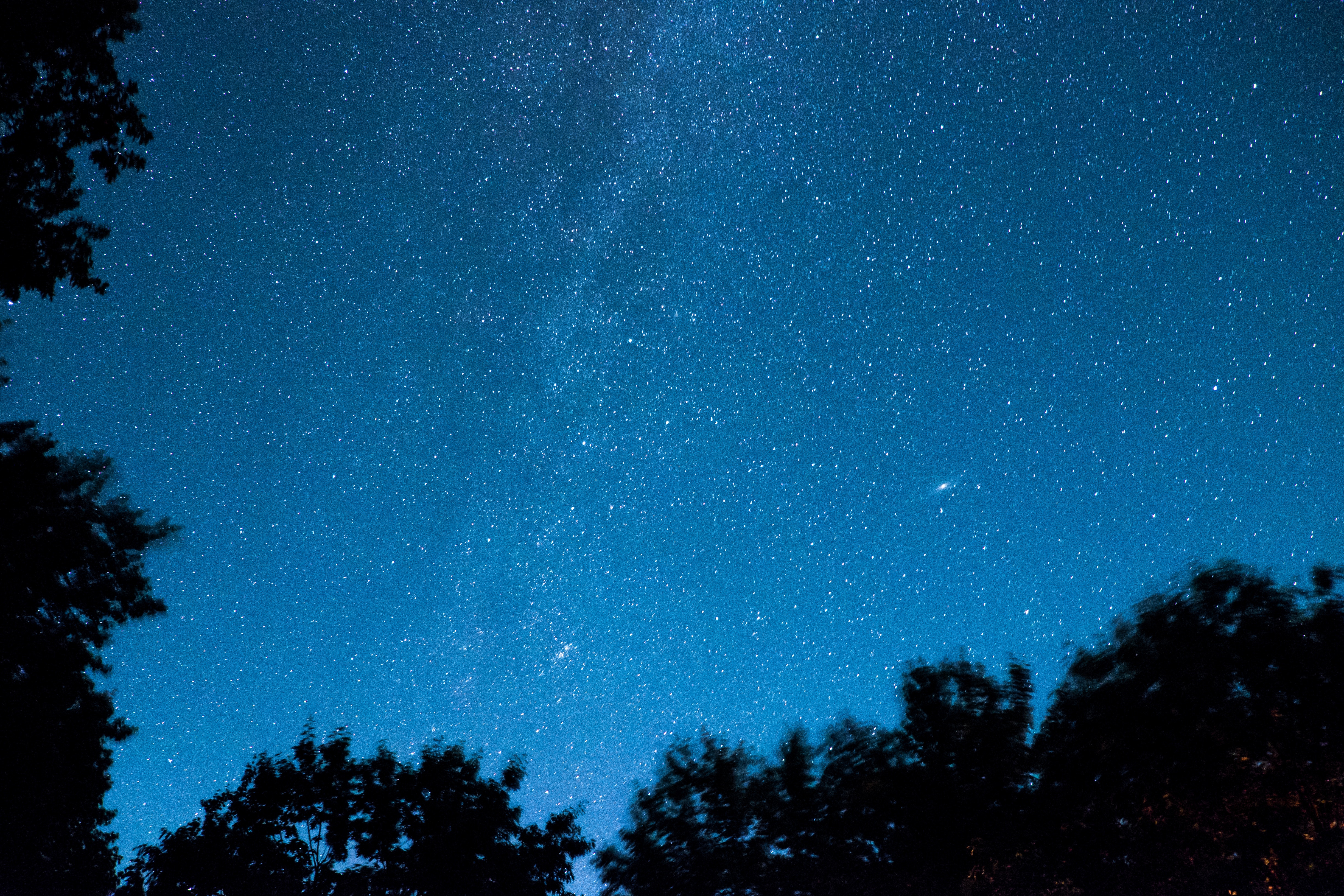 Download mobile wallpaper Starry Sky, Stars, Trees, Night, Shining, Dark for free.