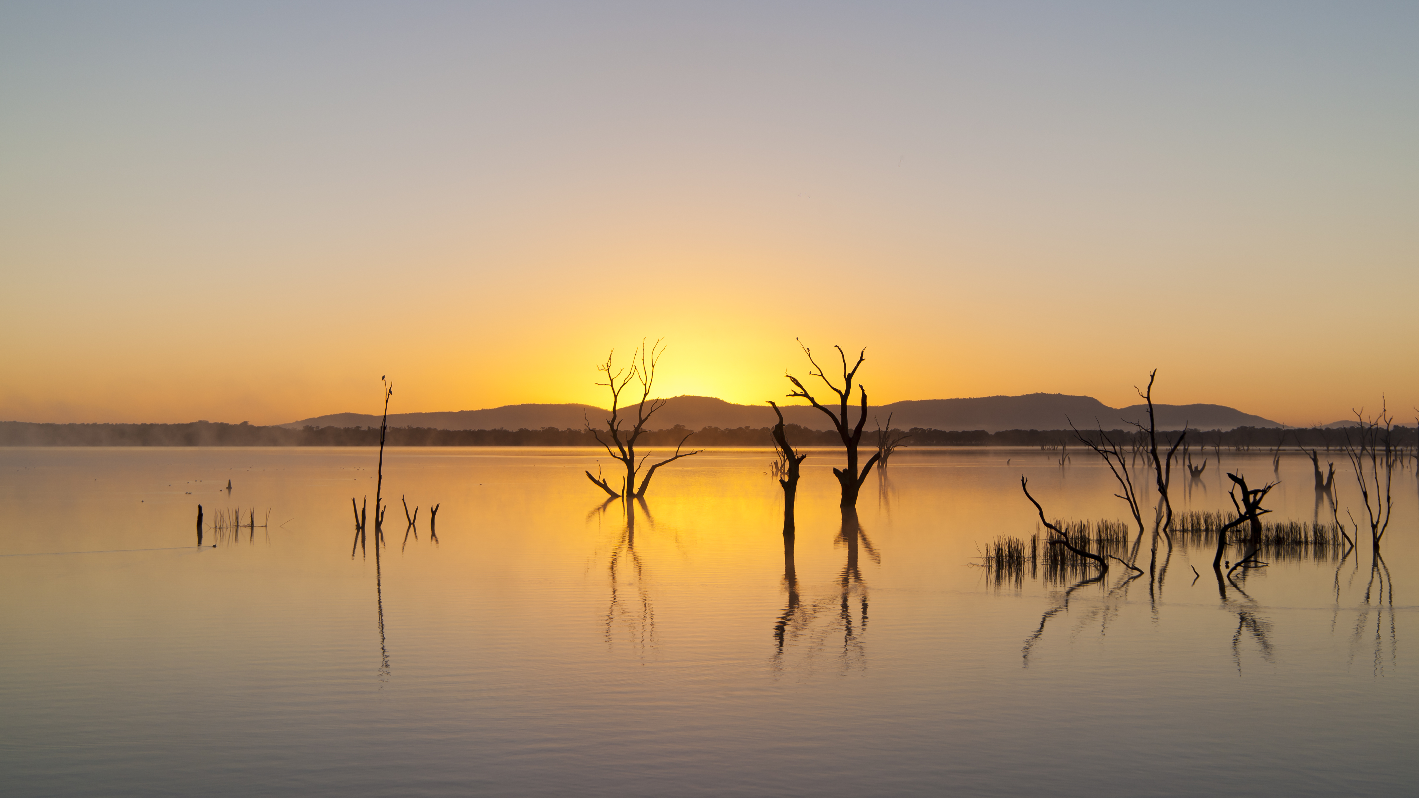 Download mobile wallpaper Water, Lake, Tree, Sunrise, Earth for free.