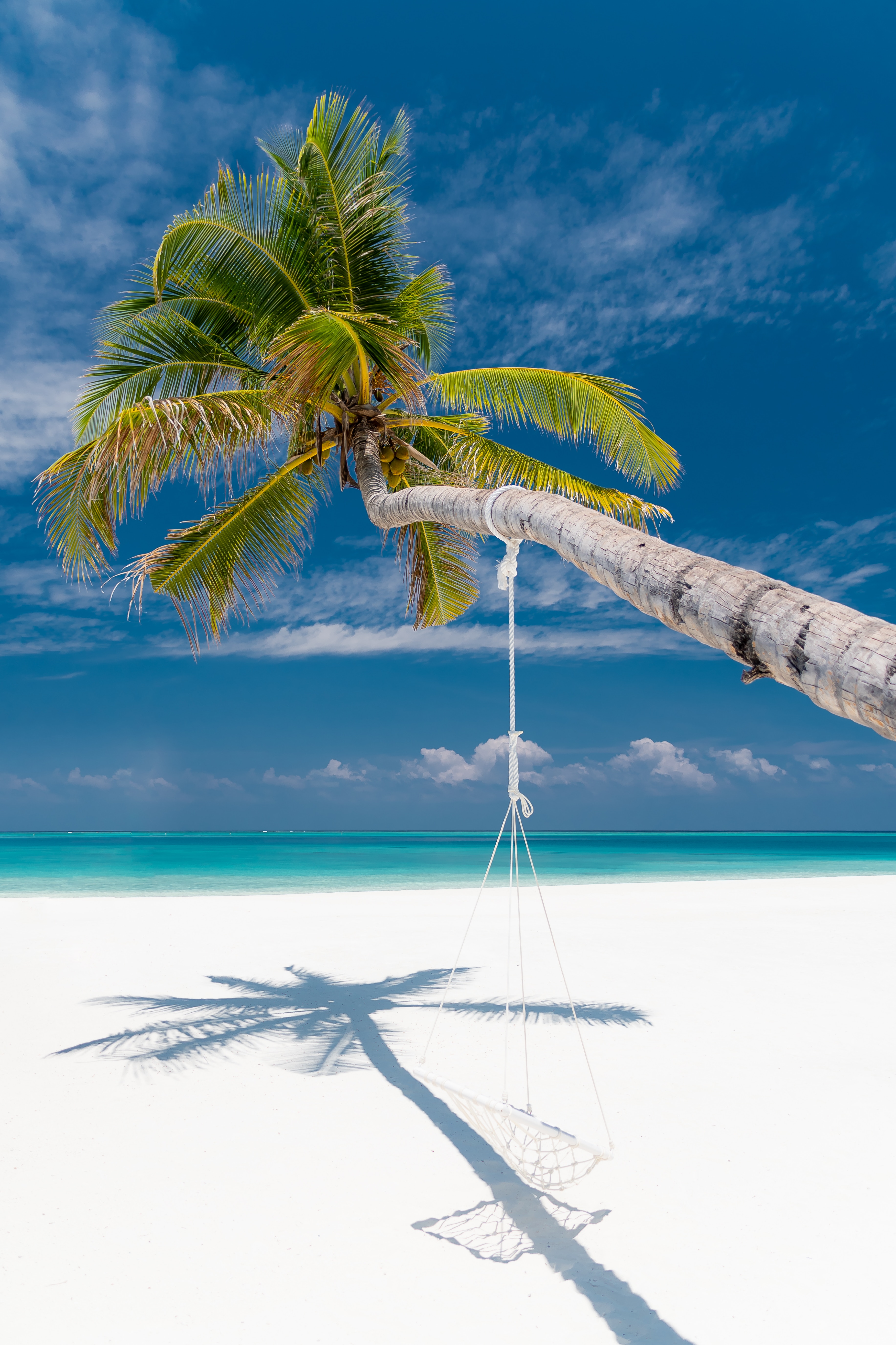 52068 baixar papel de parede praia, natureza, mar, verão, palma, palmeira, trópicos - protetores de tela e imagens gratuitamente