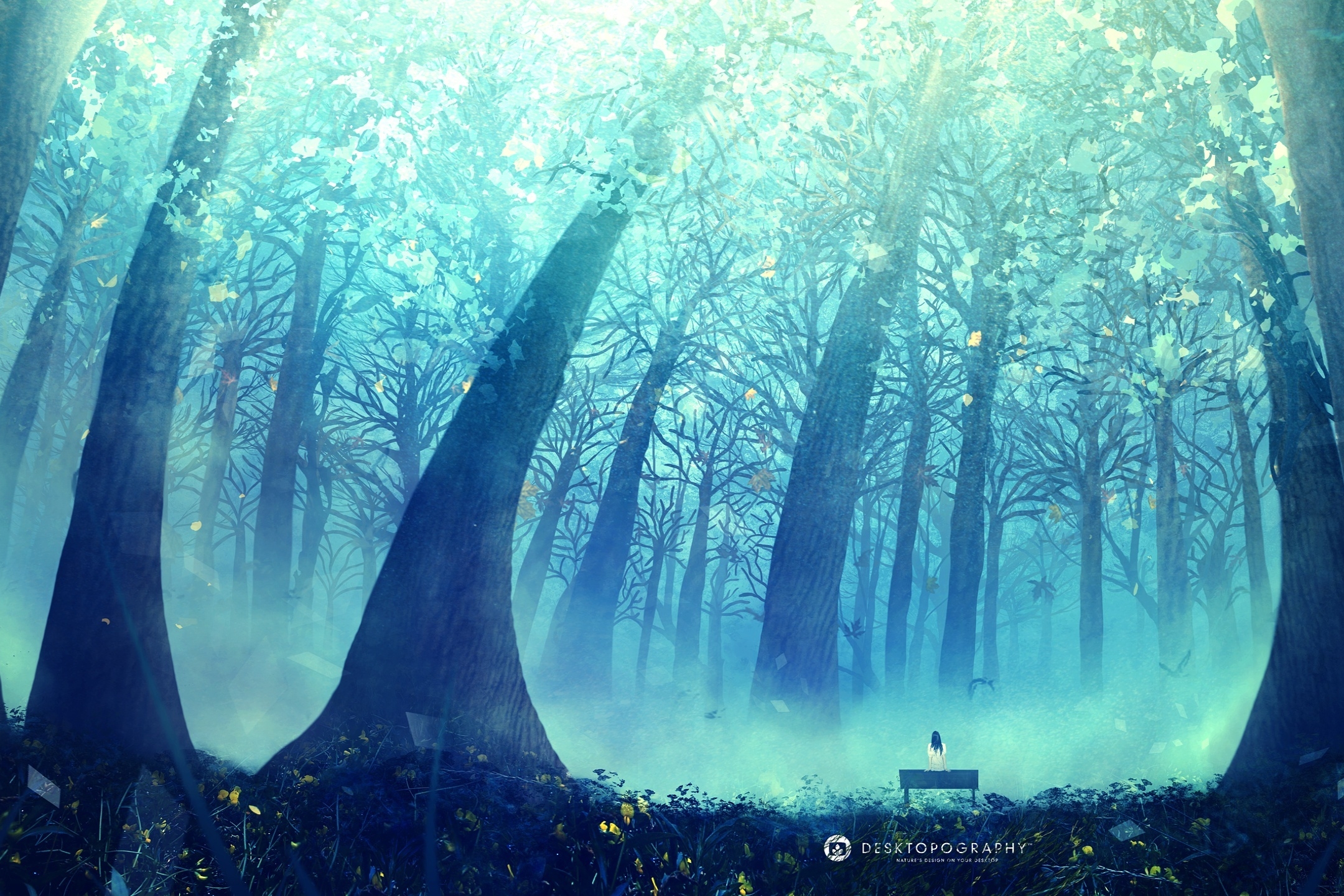 Free download wallpaper Forest, Tree, Bench, Artistic, Desktopography on your PC desktop