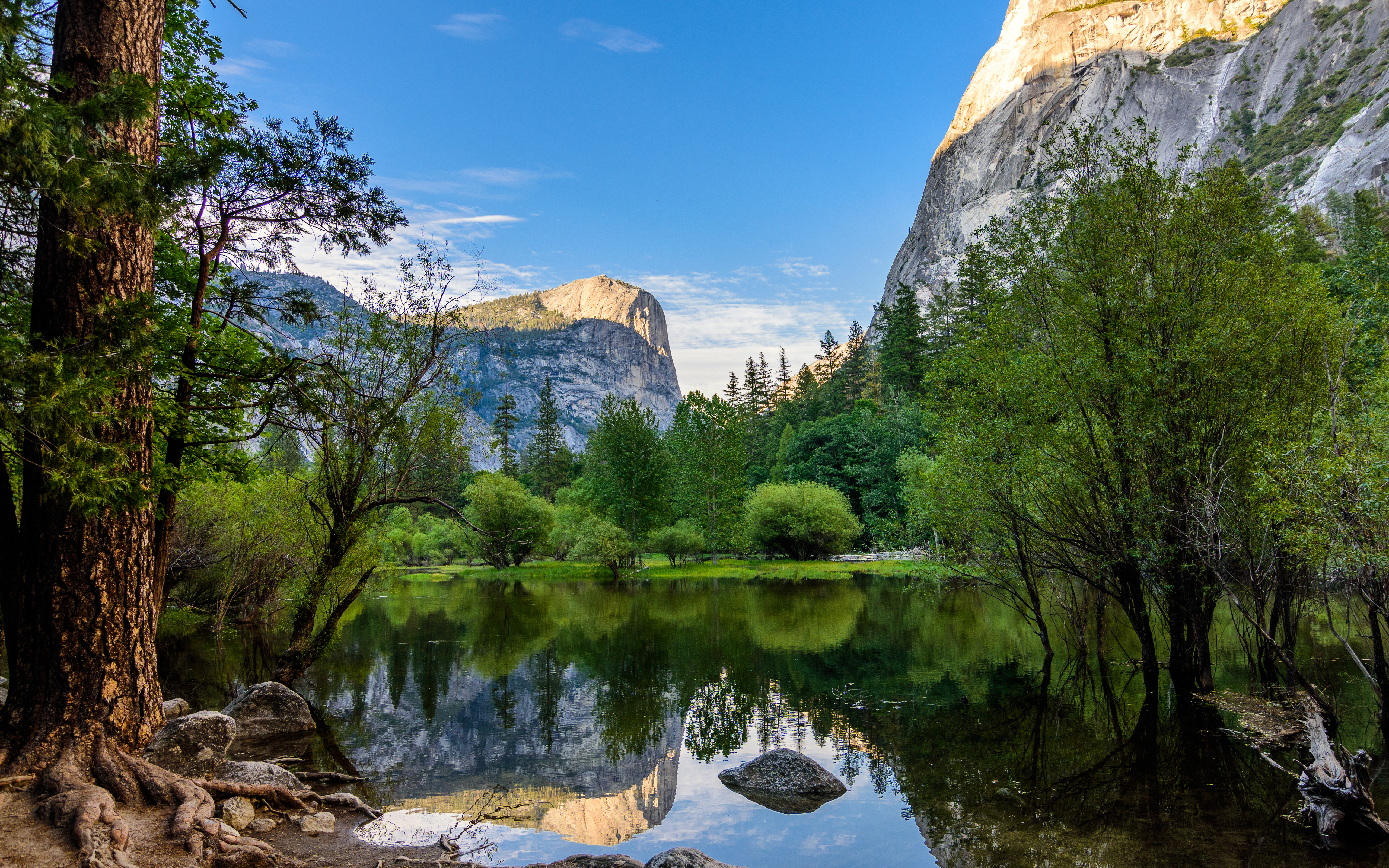 1526102 Bild herunterladen klippe, kalifornien, erde/natur, yosemite nationalpark, see, gebirge, spiegelung, baum, nationalpark - Hintergrundbilder und Bildschirmschoner kostenlos