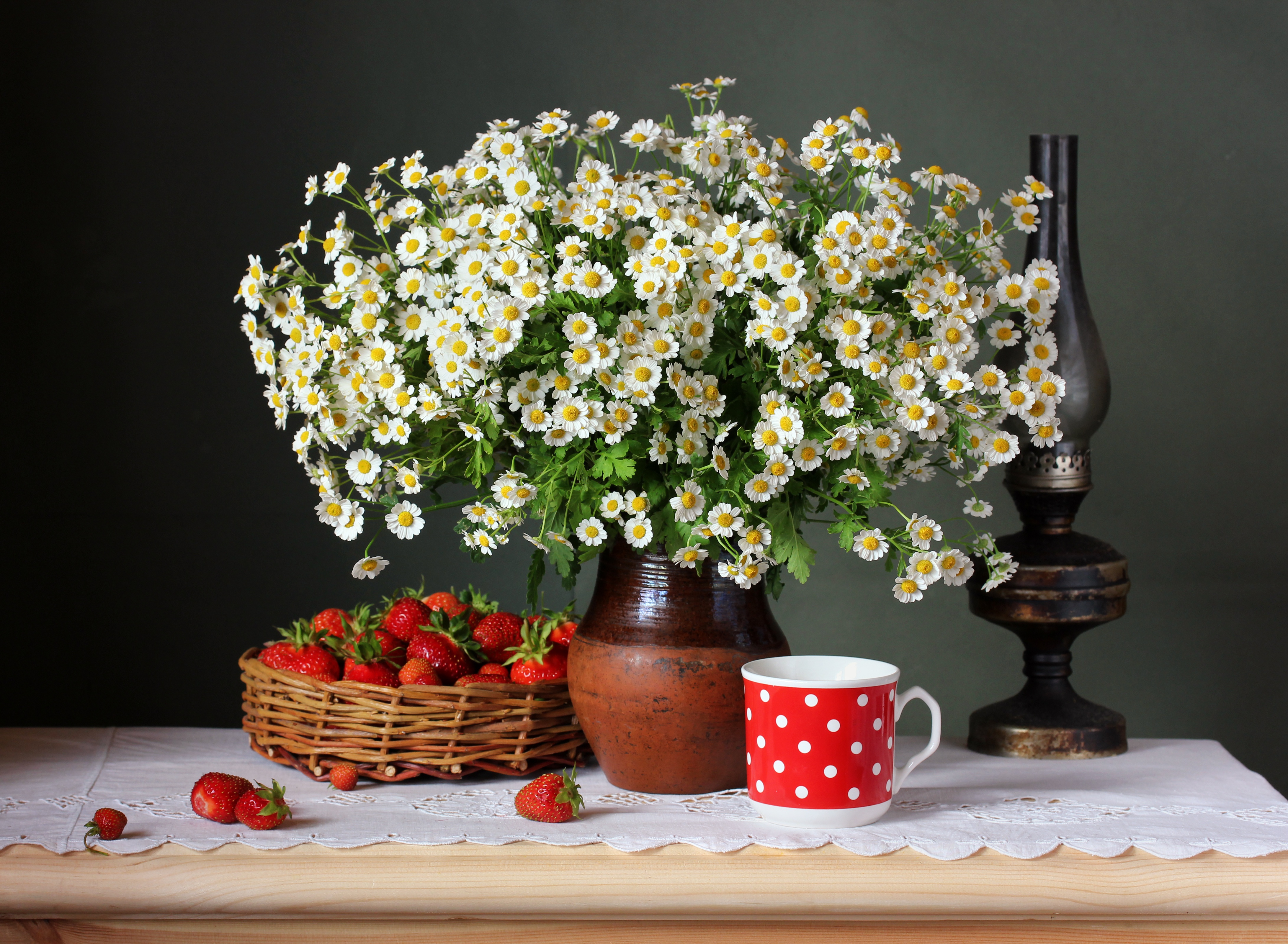 Free download wallpaper Strawberry, Still Life, Flower, Berry, Fruit, Chamomile, Photography on your PC desktop