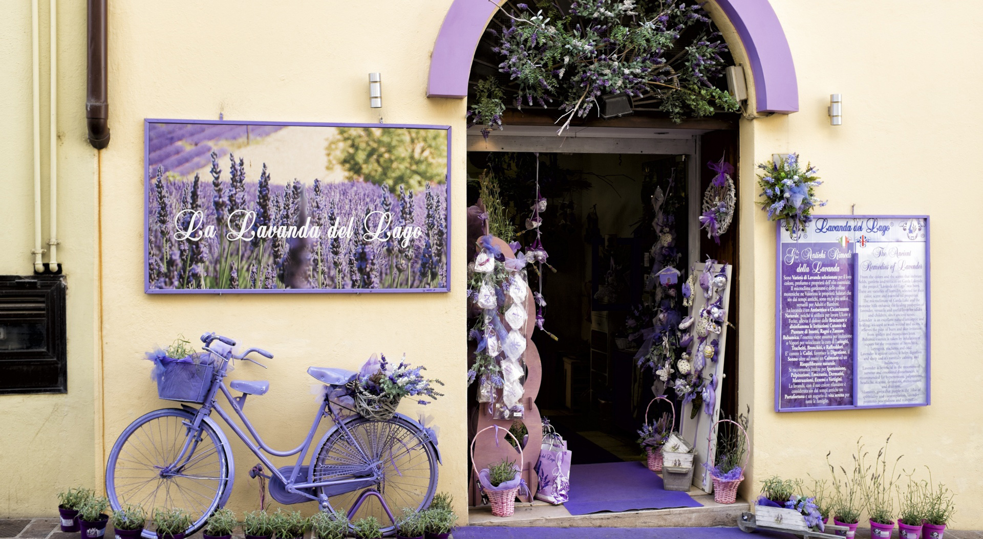 Free download wallpaper Bicycle, Lavender, Store, Vehicles on your PC desktop