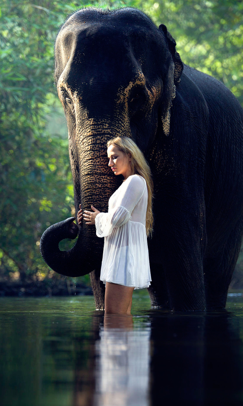 Download mobile wallpaper Reflection, Mood, Blonde, Elephant, Women for free.