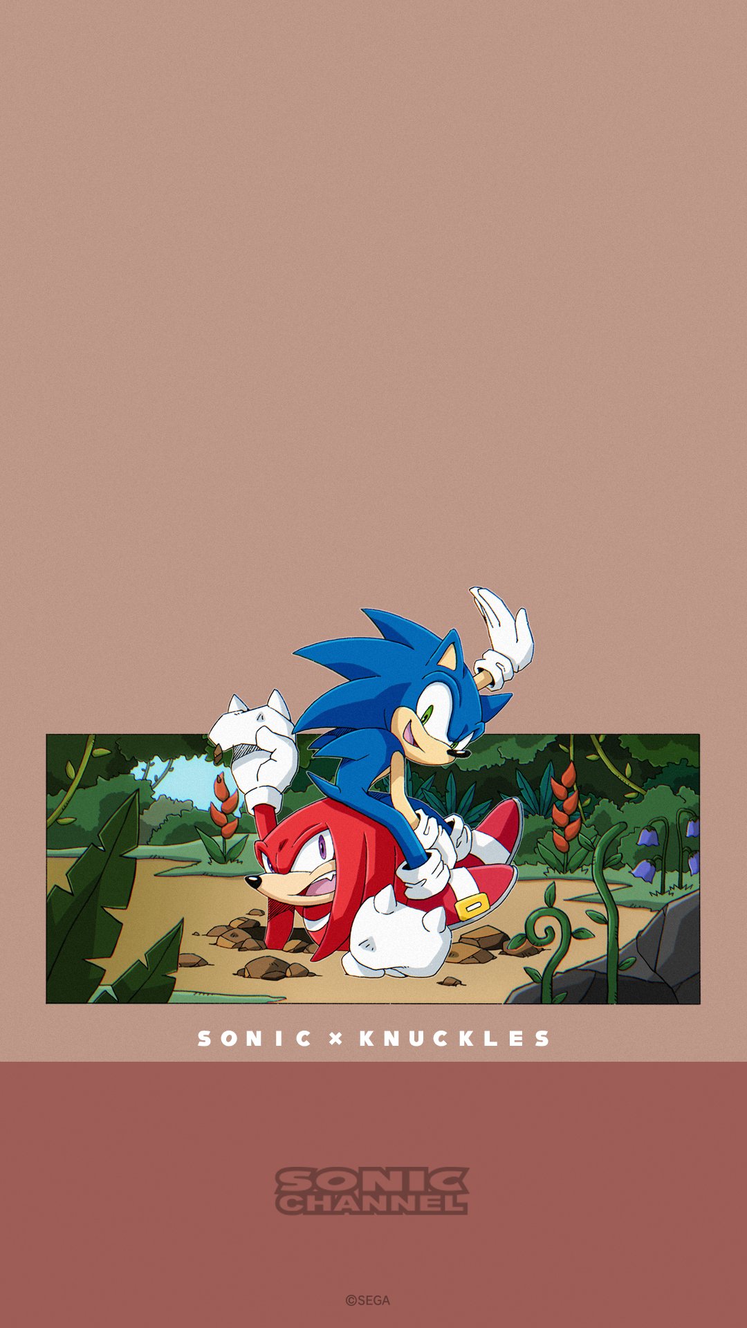 Download mobile wallpaper Video Game, Sonic The Hedgehog, Knuckles The Echidna, Sonic Channel, Sonic for free.