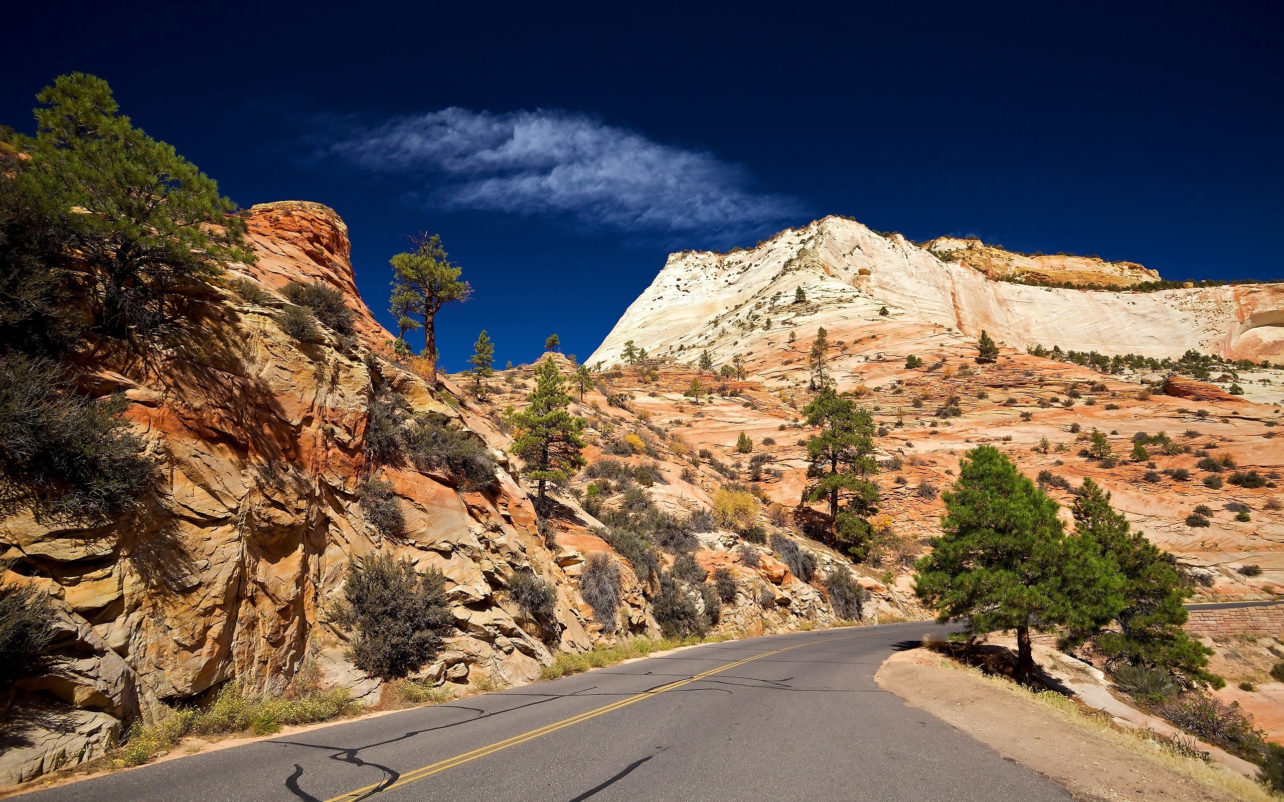 Descarga gratis la imagen Montaña, Árbol, Carretera, Hecho Por El Hombre en el escritorio de tu PC