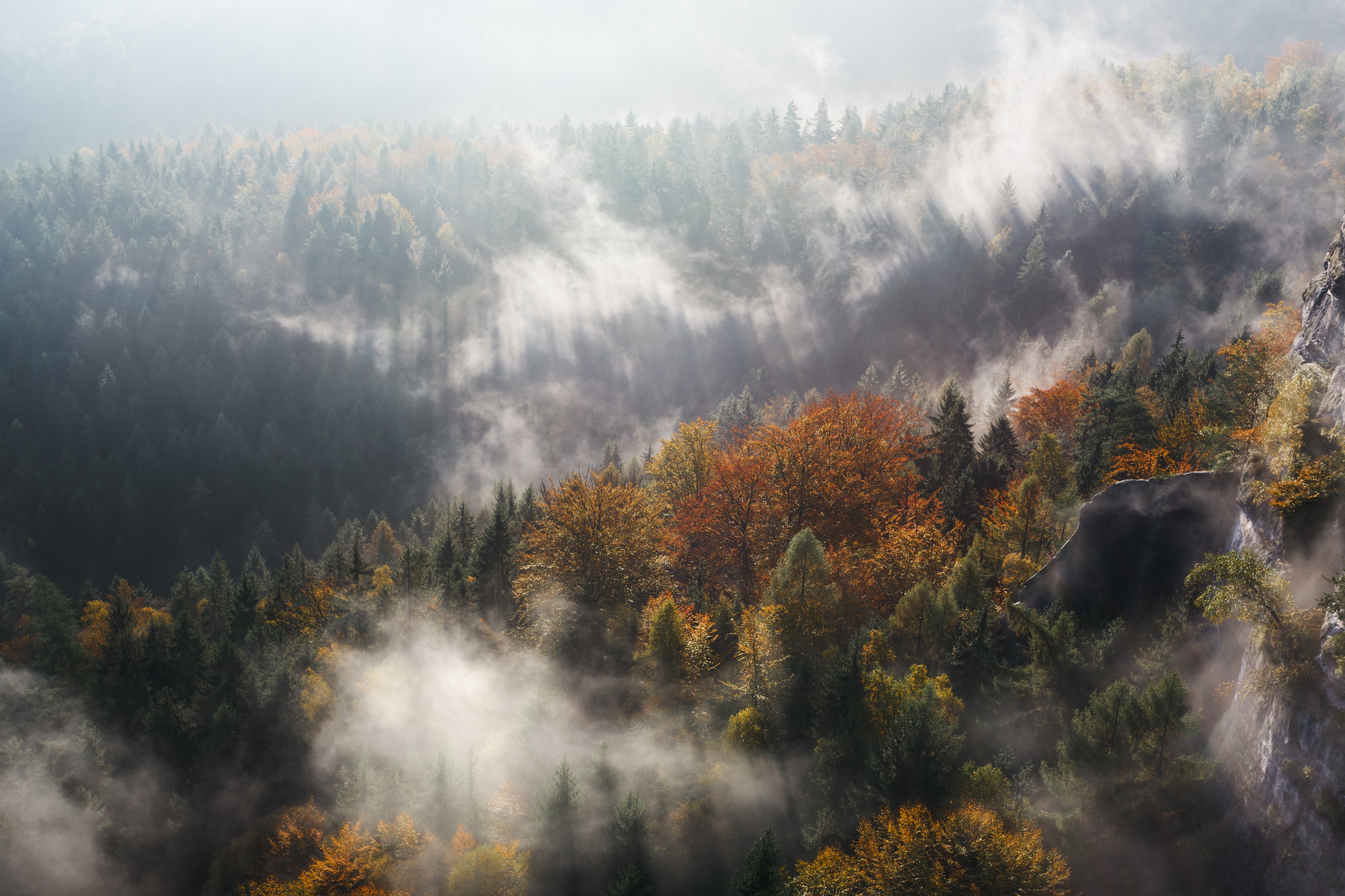 Download mobile wallpaper Nature, Forest, Fog, Fall, Earth, Aerial, Sunbeam for free.