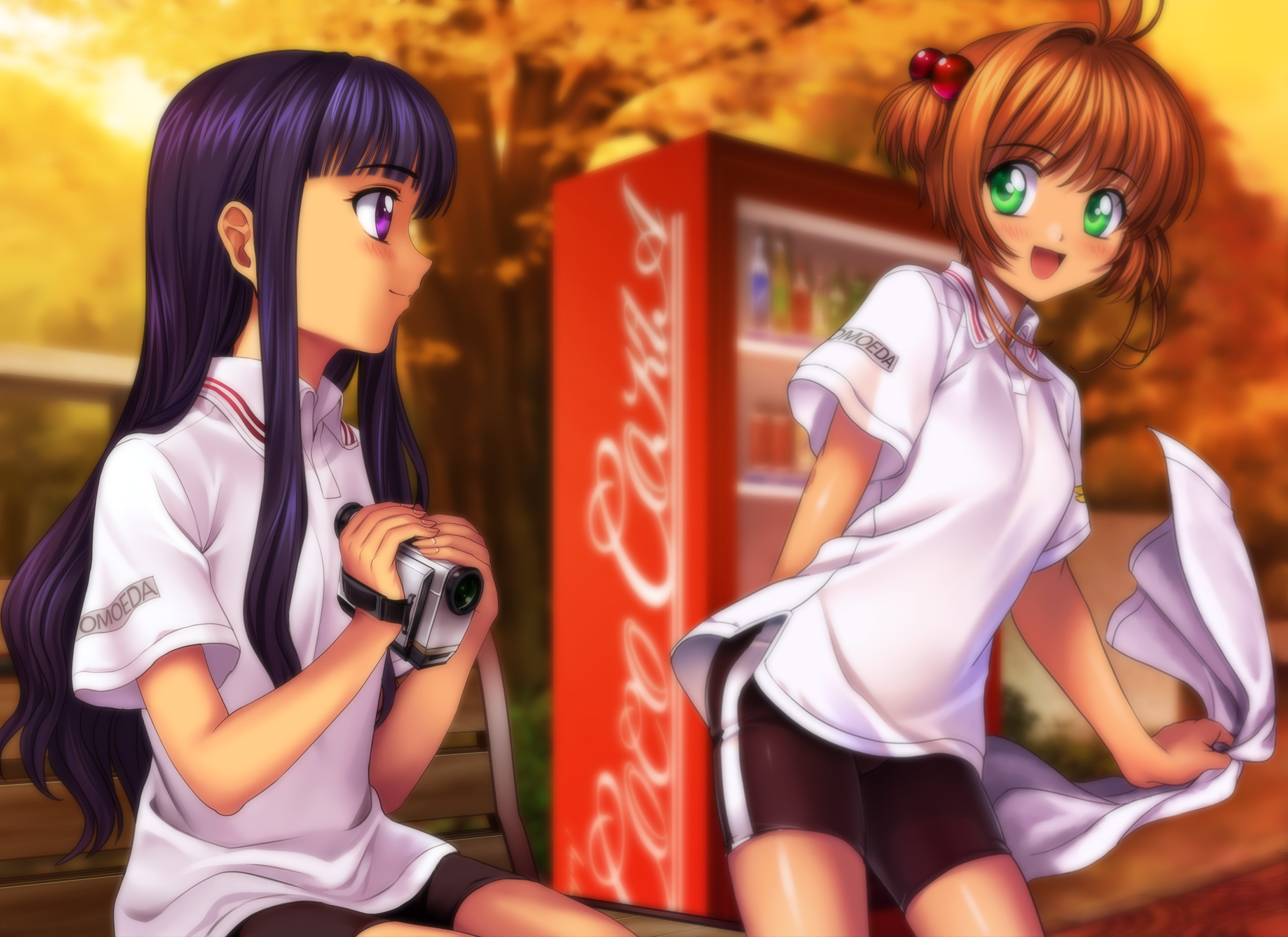 Laden Sie das Animes, Kadokyaputa Sakura, Sakura Kinomoto, Tomoyo Daidouji-Bild kostenlos auf Ihren PC-Desktop herunter