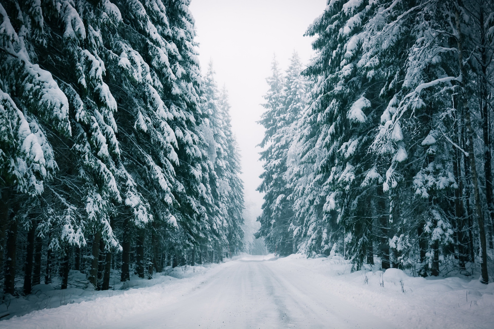 Descarga gratuita de fondo de pantalla para móvil de Invierno, Naturaleza, Nieve, Bosque, Árbol, Carretera, Hecho Por El Hombre.