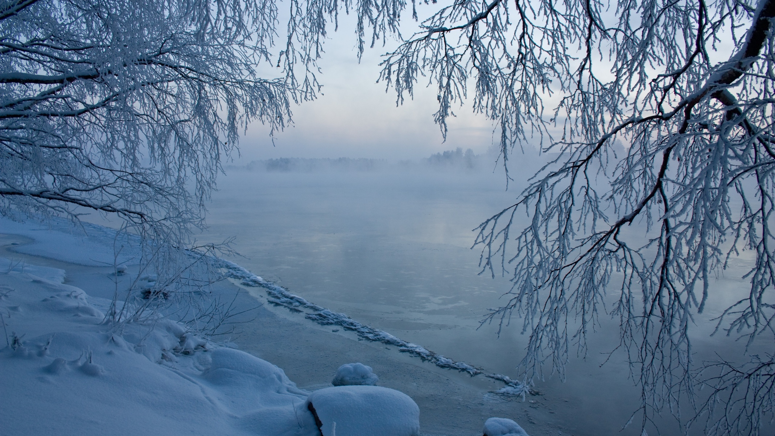 Download mobile wallpaper Winter, Ice, Snow, Lake, Tree, Earth, Frozen for free.