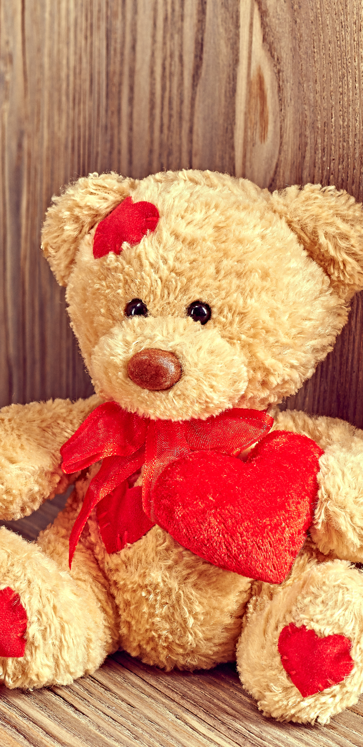 Handy-Wallpaper Feiertage, Liebe, Valentinstag, Teddybär, Blume, Rose, Rote Rose kostenlos herunterladen.