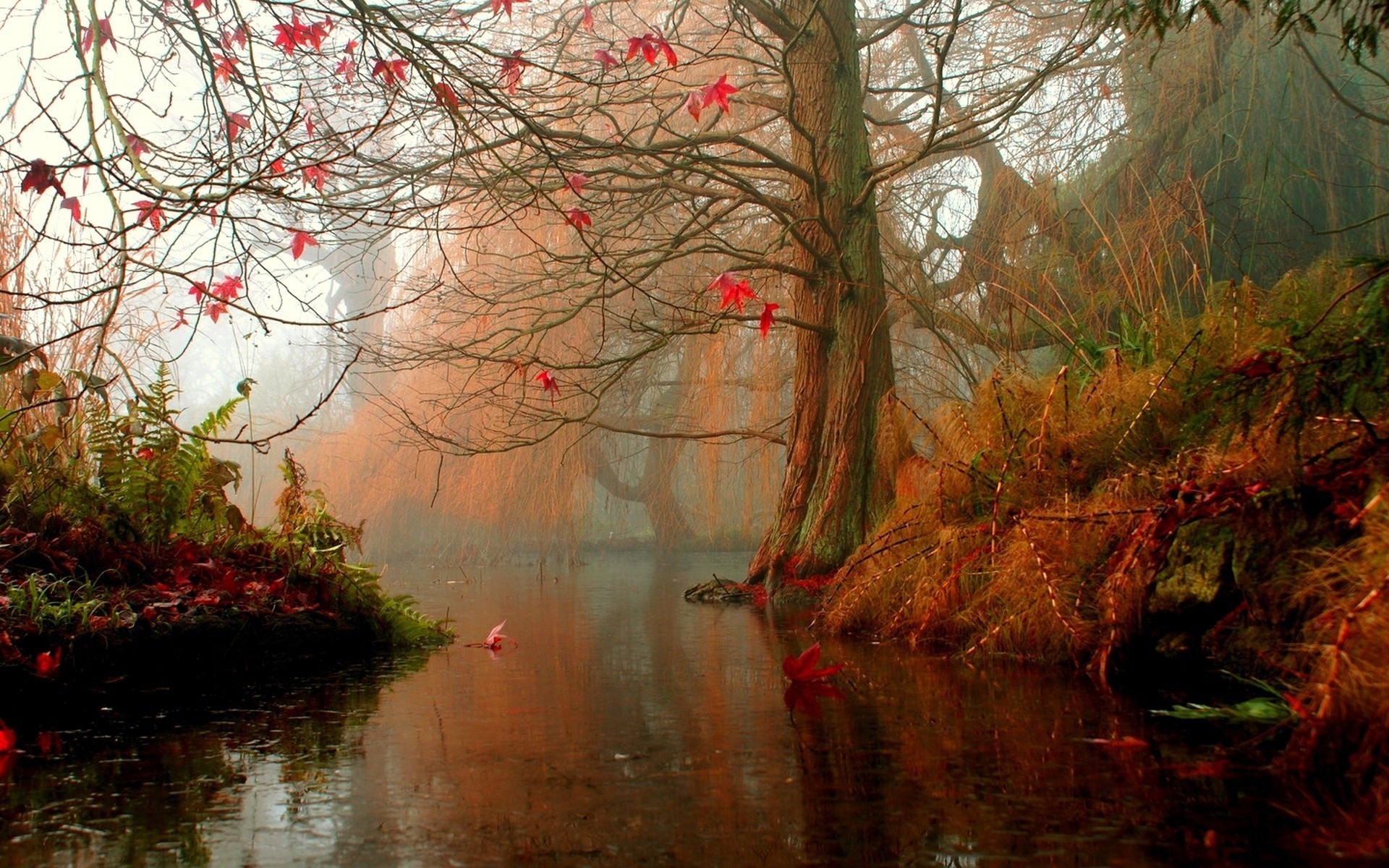 Free download wallpaper Water, Wood, Forest, Fall, Artistic, River, Season on your PC desktop