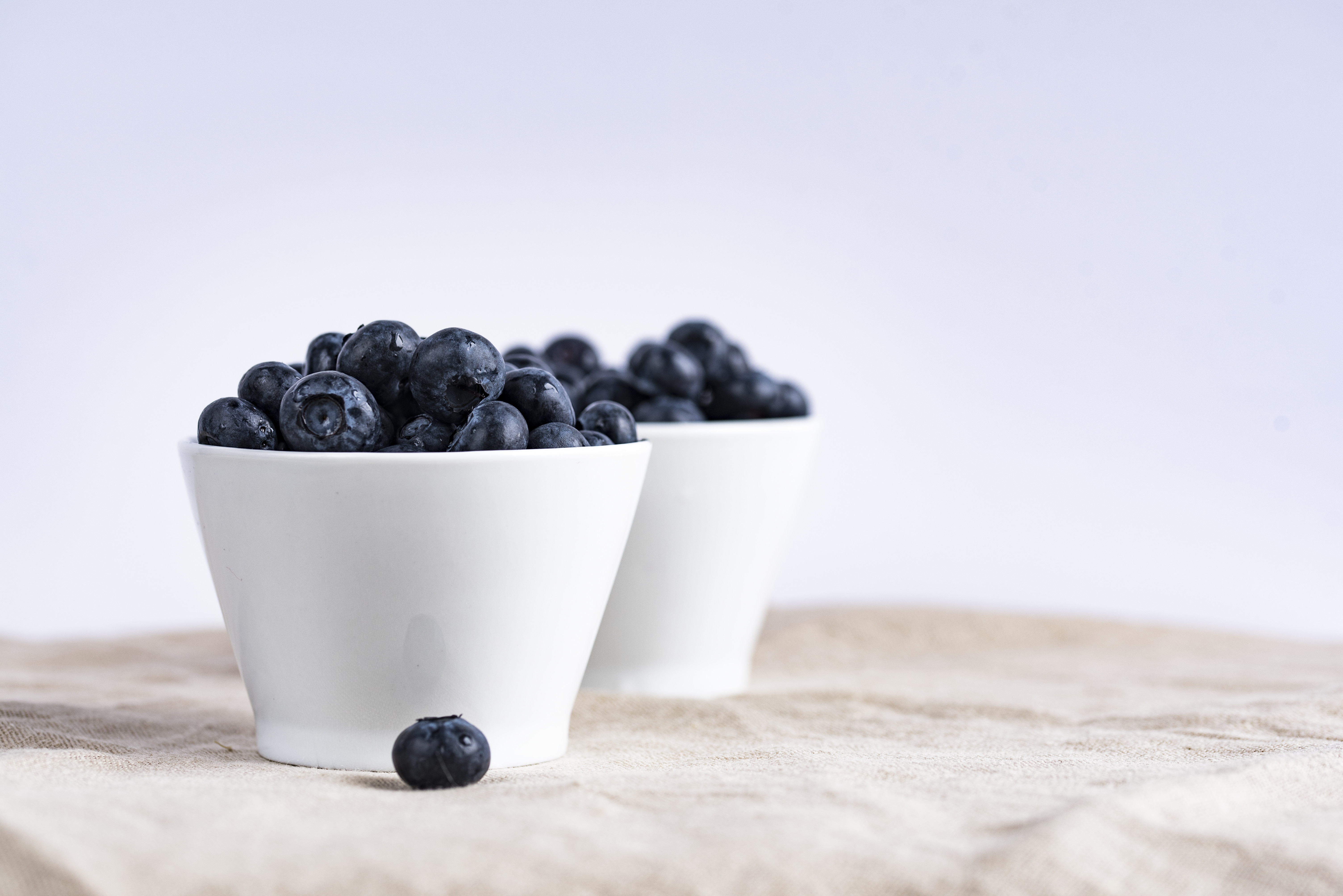 Free download wallpaper Food, Blueberry, Berry, Fruit on your PC desktop