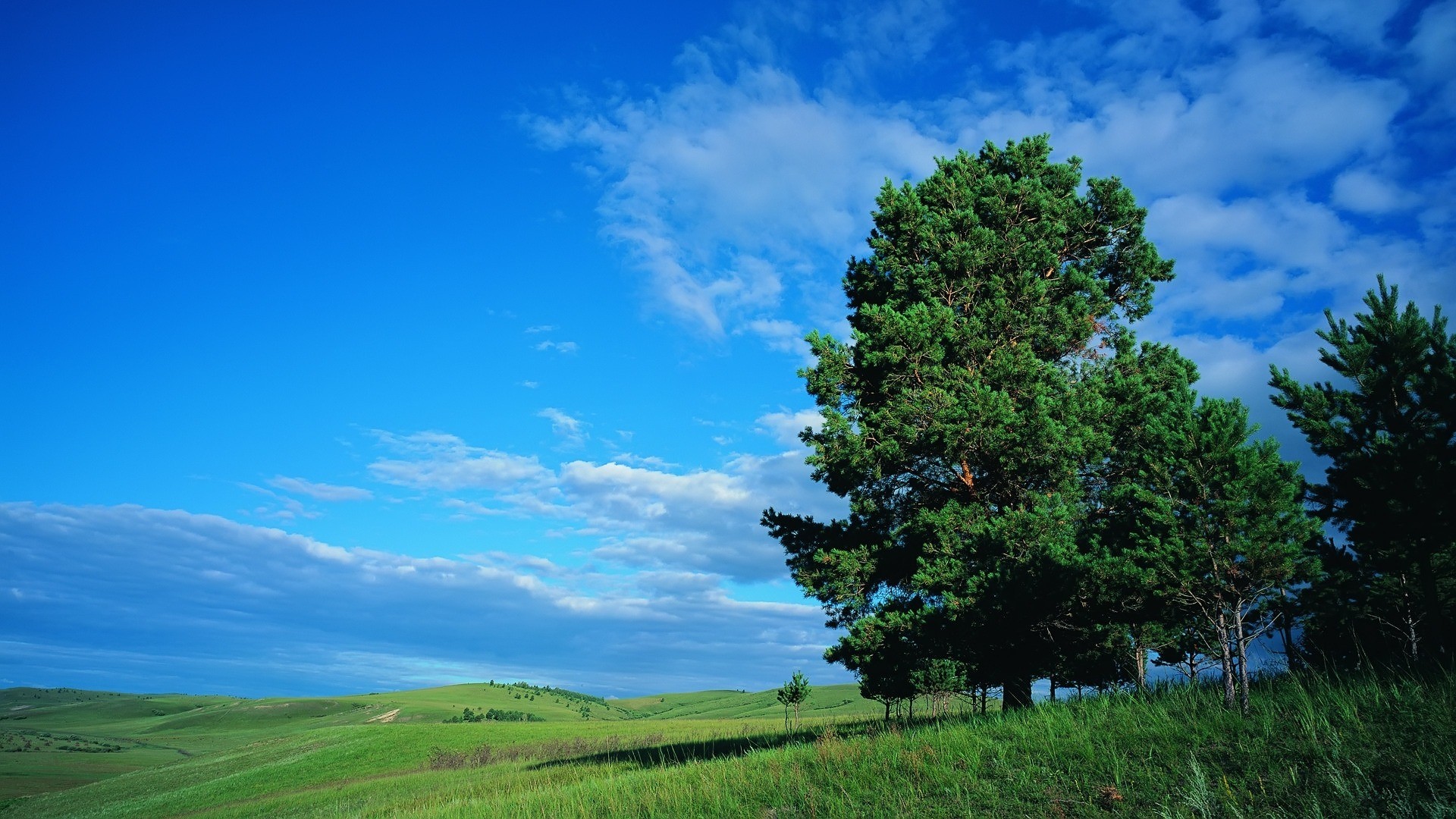Free download wallpaper Landscape, Trees, Tree, Earth on your PC desktop