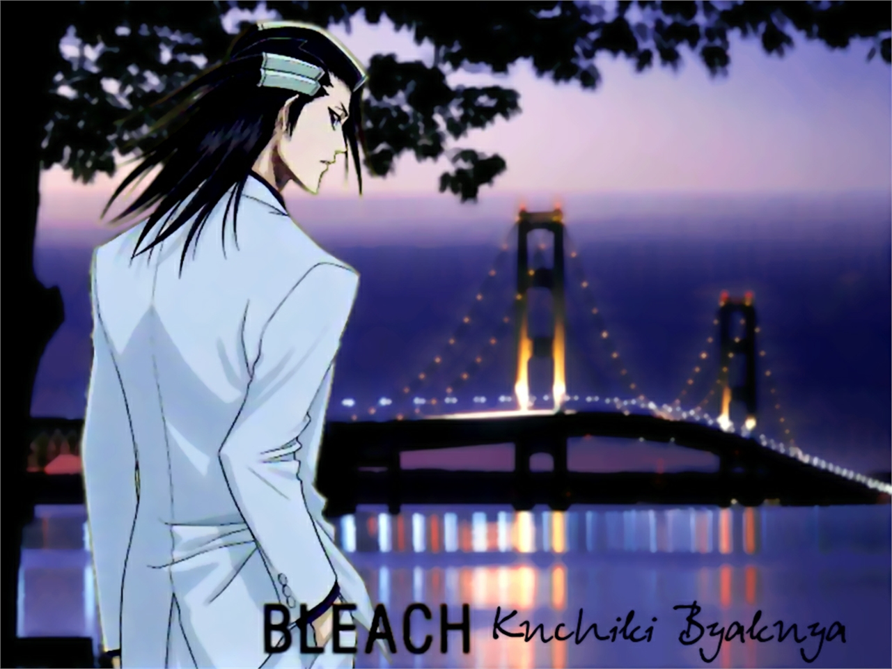 Téléchargez gratuitement l'image Bleach, Animé, Byakuya Kuchiki sur le bureau de votre PC