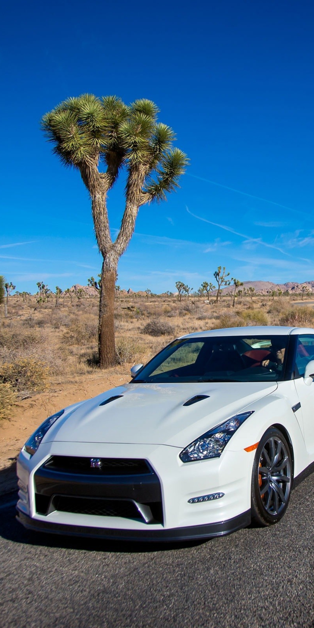 Baixar papel de parede para celular de Nissan, Nissan Gt R, Veículos gratuito.