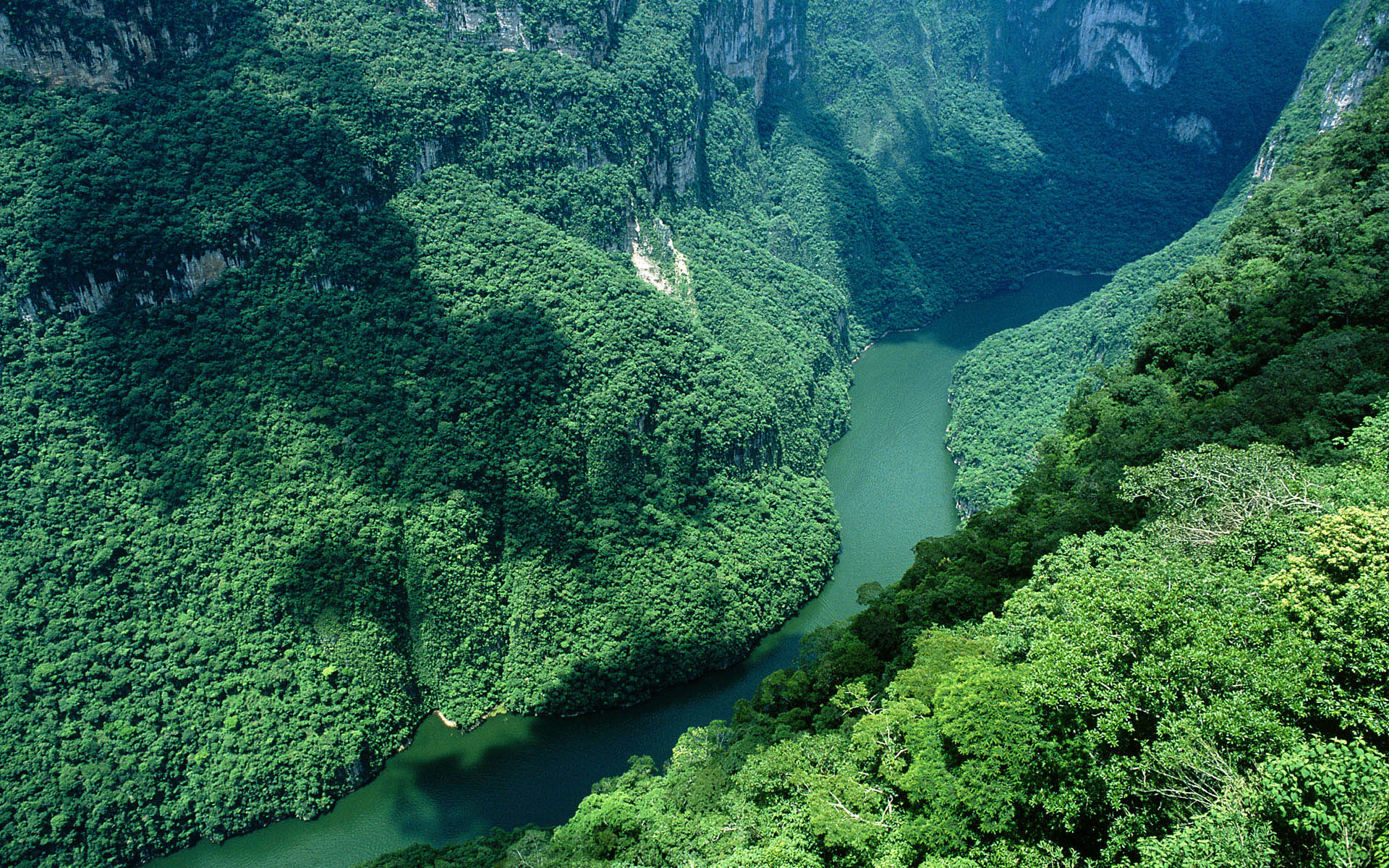 Descarga gratuita de fondo de pantalla para móvil de Pintoresco, Tierra/naturaleza.