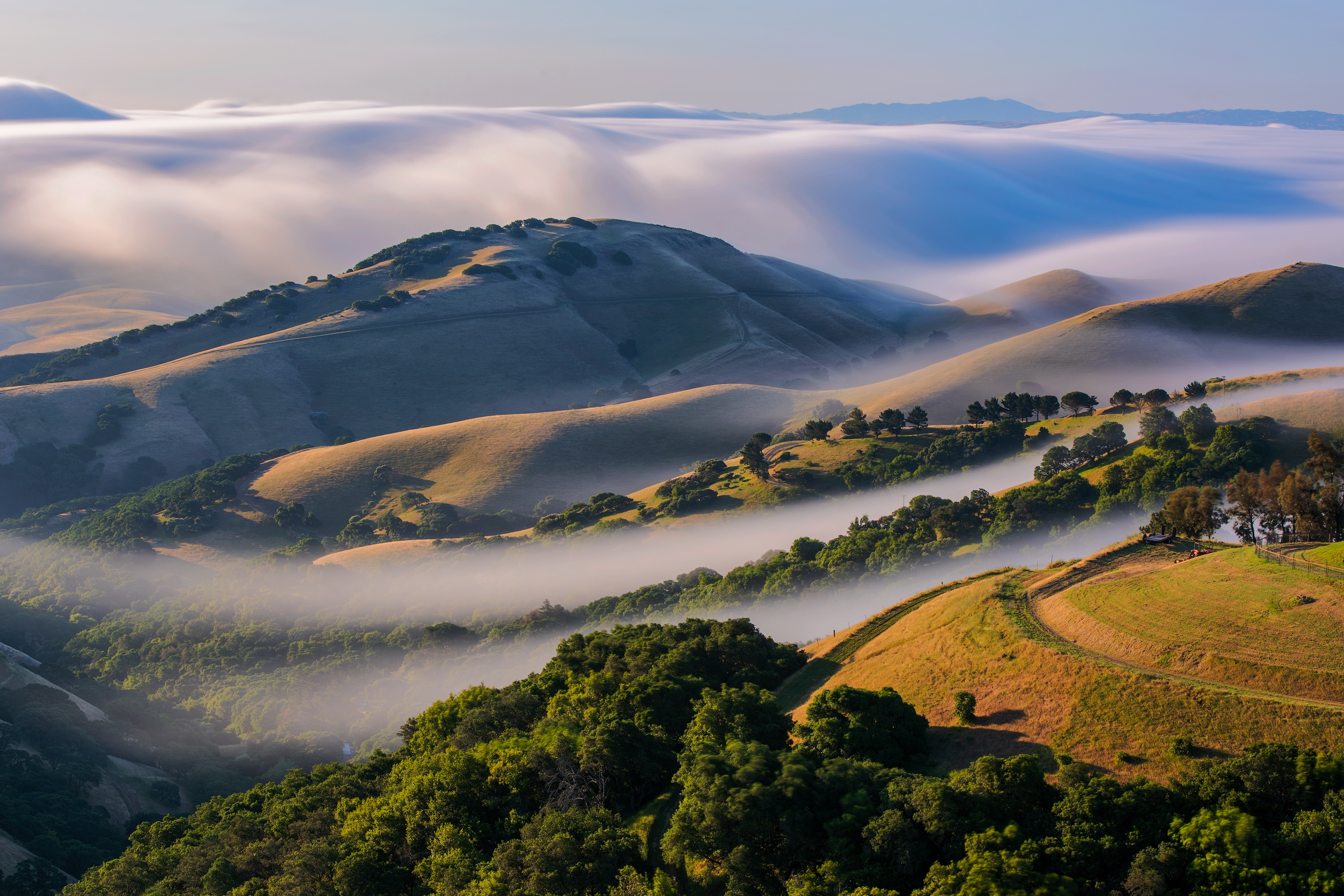 PCデスクトップに風景, 自然, 霧, 地球, 丘画像を無料でダウンロード