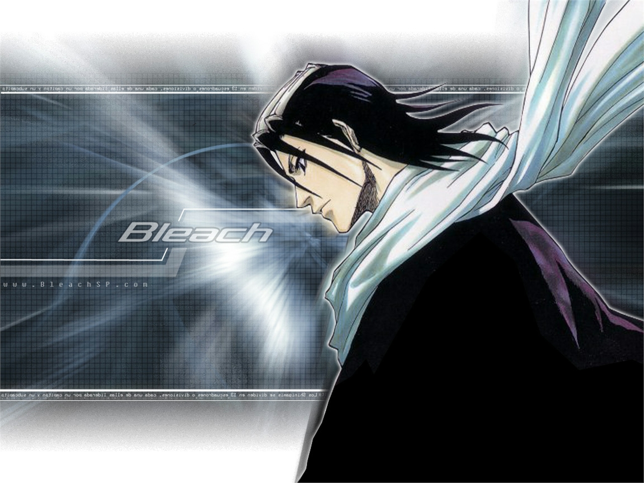 Téléchargez gratuitement l'image Bleach, Animé, Byakuya Kuchiki sur le bureau de votre PC