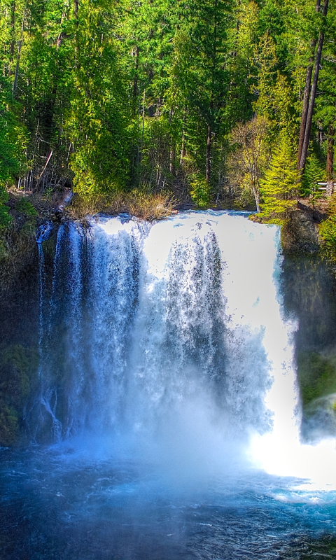 Handy-Wallpaper Wasserfälle, Wasserfall, Wald, Erde, Erde/natur kostenlos herunterladen.