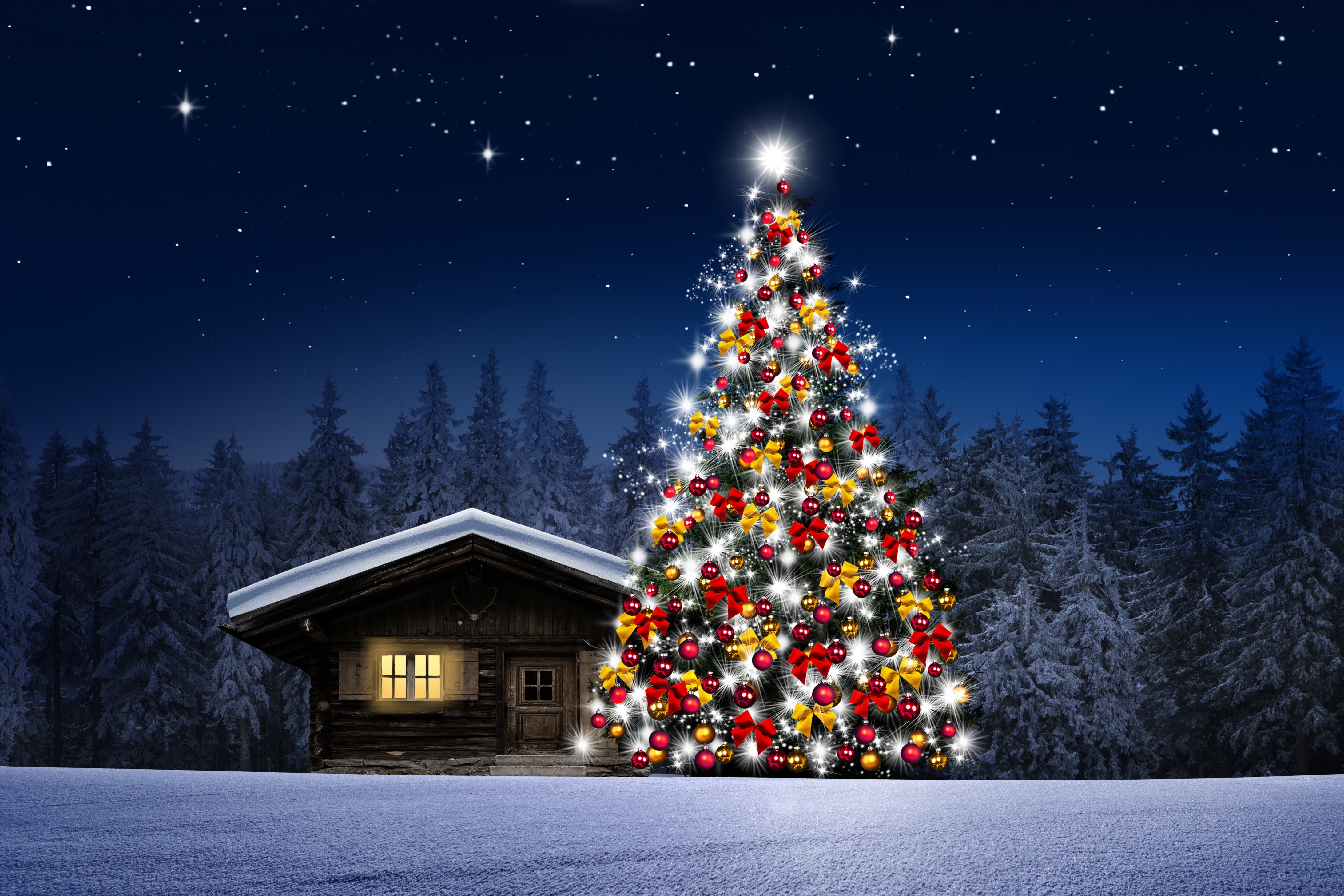 Handy-Wallpaper Feiertage, Schnee, Weihnachten, Wald, Weihnachtsbaum, Hütte kostenlos herunterladen.