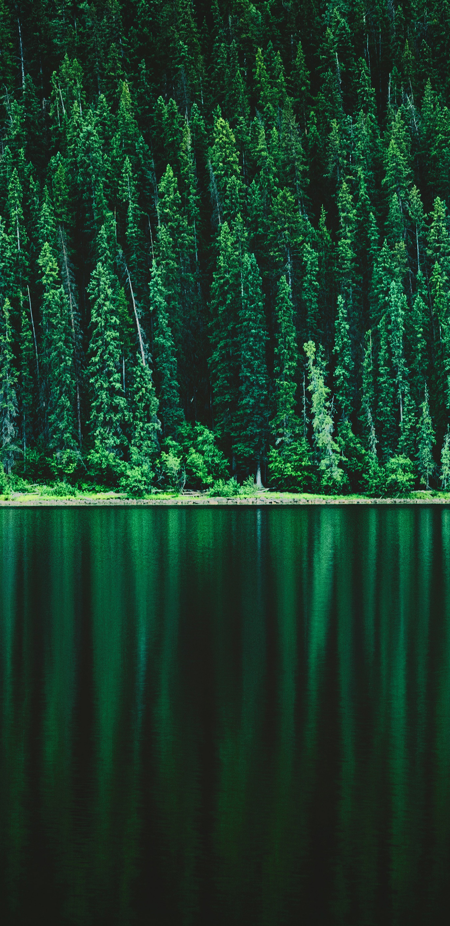 Скачать картинку Природа, Озеро, Отражение, Лес, Зелень, Земля/природа в телефон бесплатно.