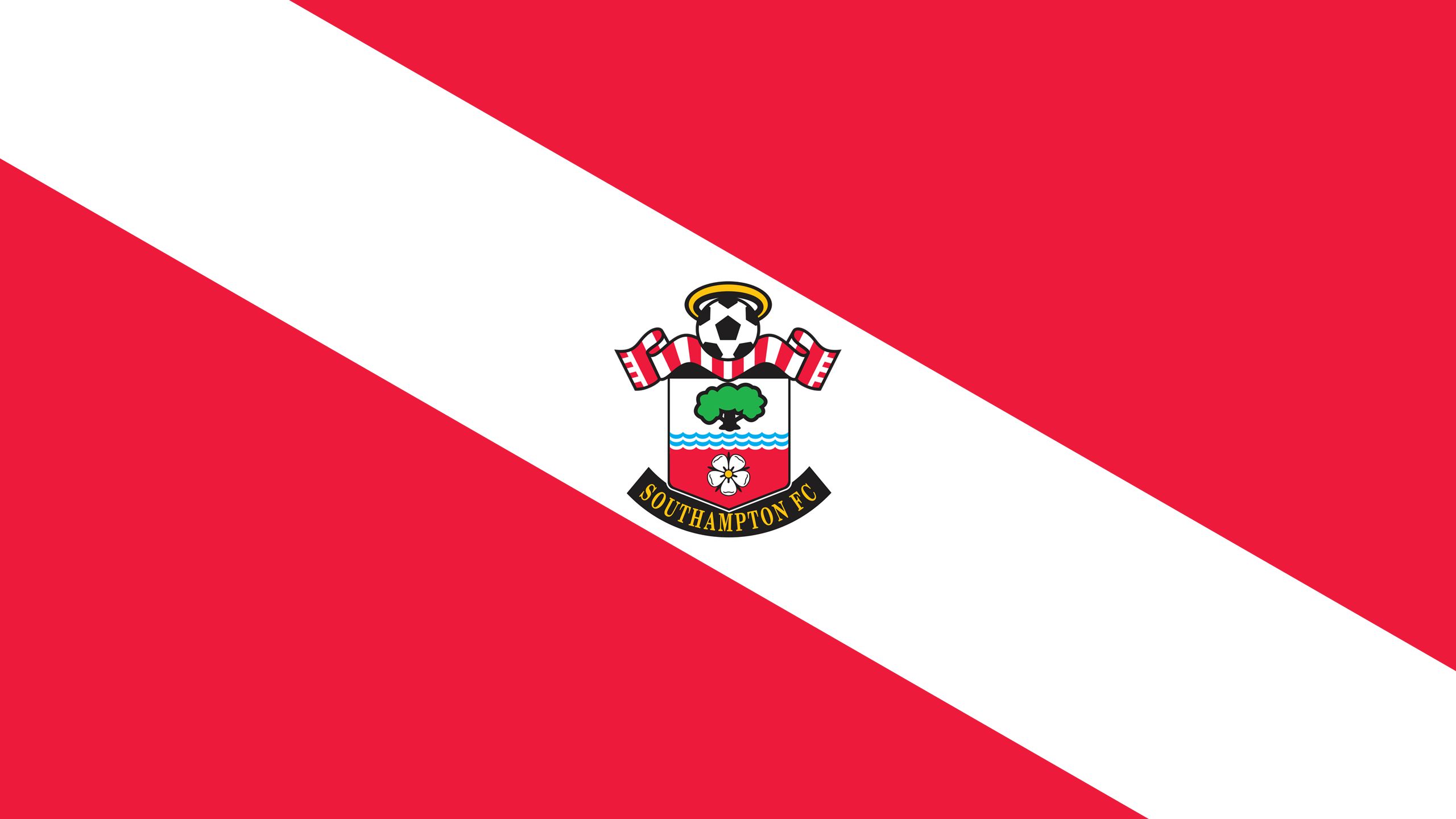 Téléchargez des papiers peints mobile Logo, Des Sports, Emblème, Football, Fc Southampton gratuitement.