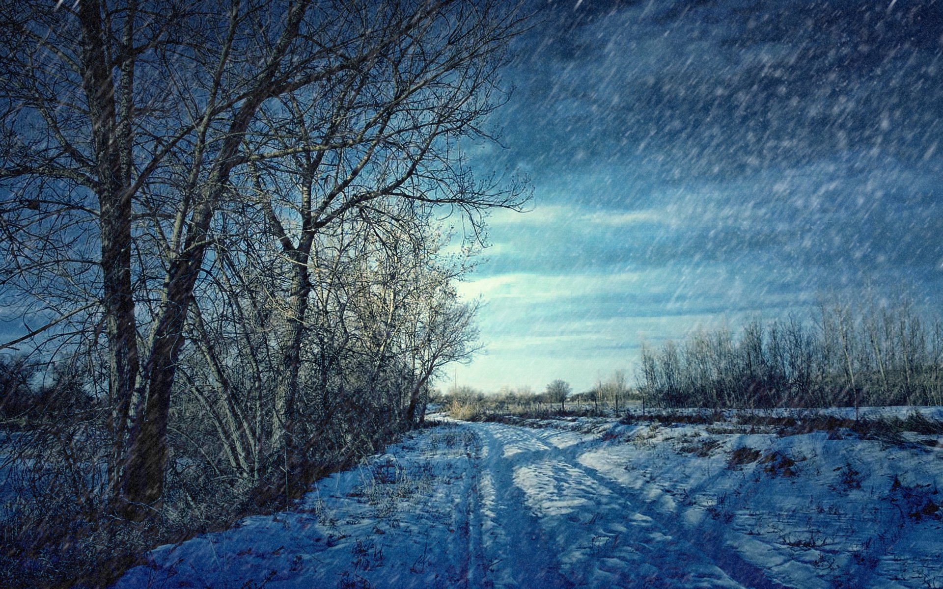 Скачать картинку Деревья, Снег, Пейзаж в телефон бесплатно.