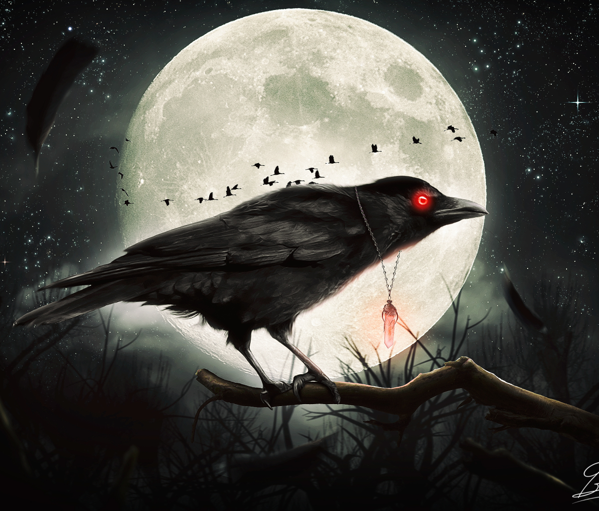 Download mobile wallpaper Fantasy, Night, Moon, Bird, Raven, Fantasy Animals for free.