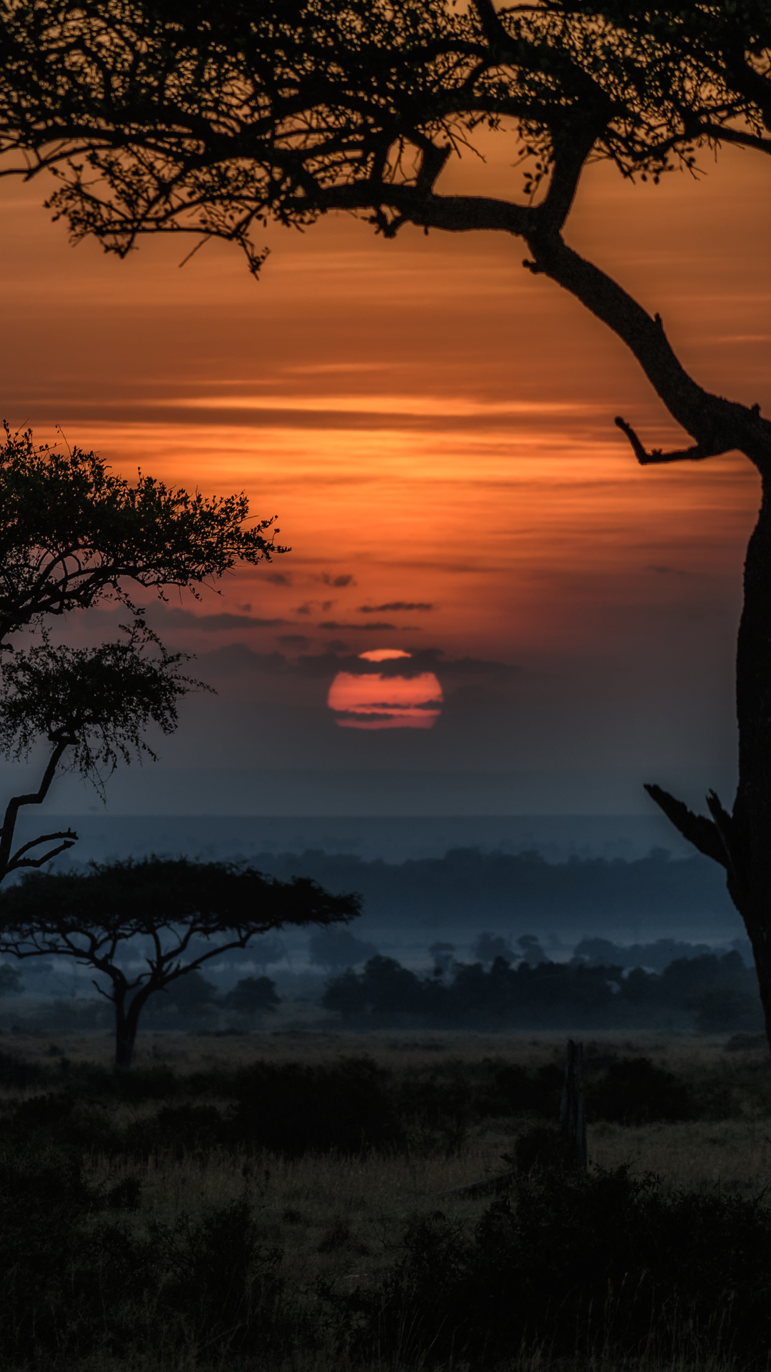 Скачать картинку Пейзаж, Саванна, Рассвет, Восход, Ландшафт, Африка, Земля/природа, Кения в телефон бесплатно.
