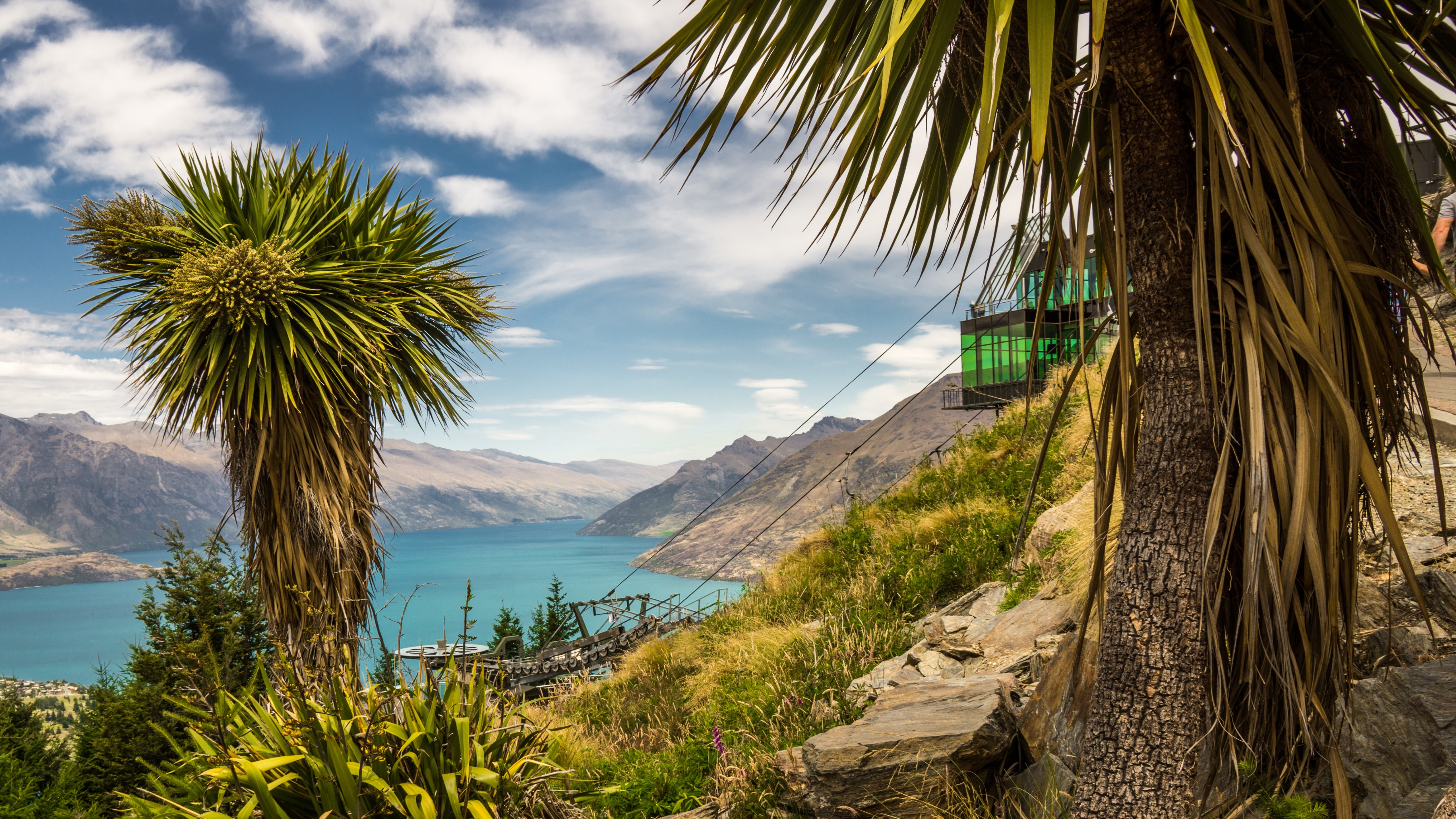 Download mobile wallpaper New Zealand, Earth, River, Palm Tree for free.