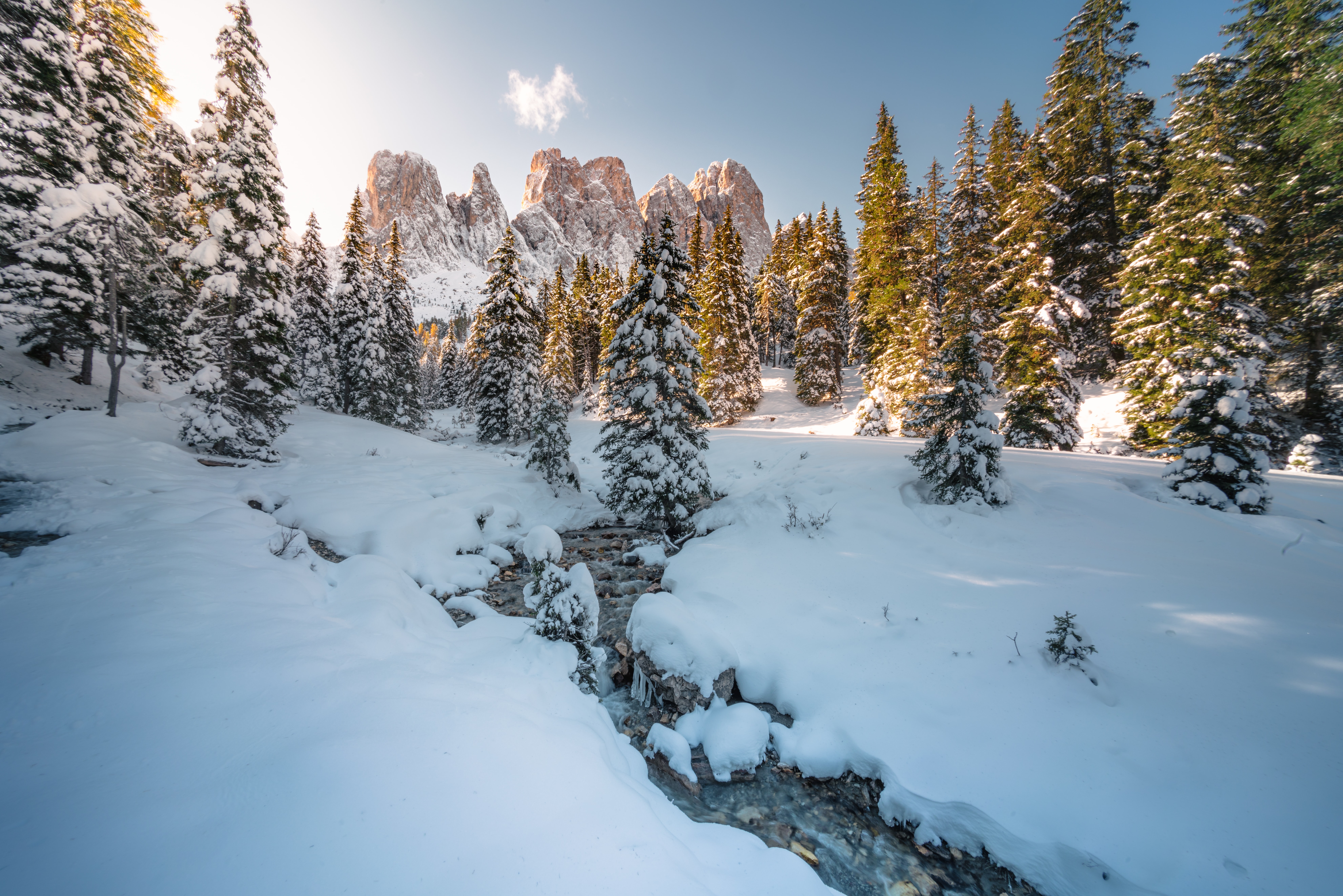 trees, winter, nature, snow, mountain, creek, brook Phone Background