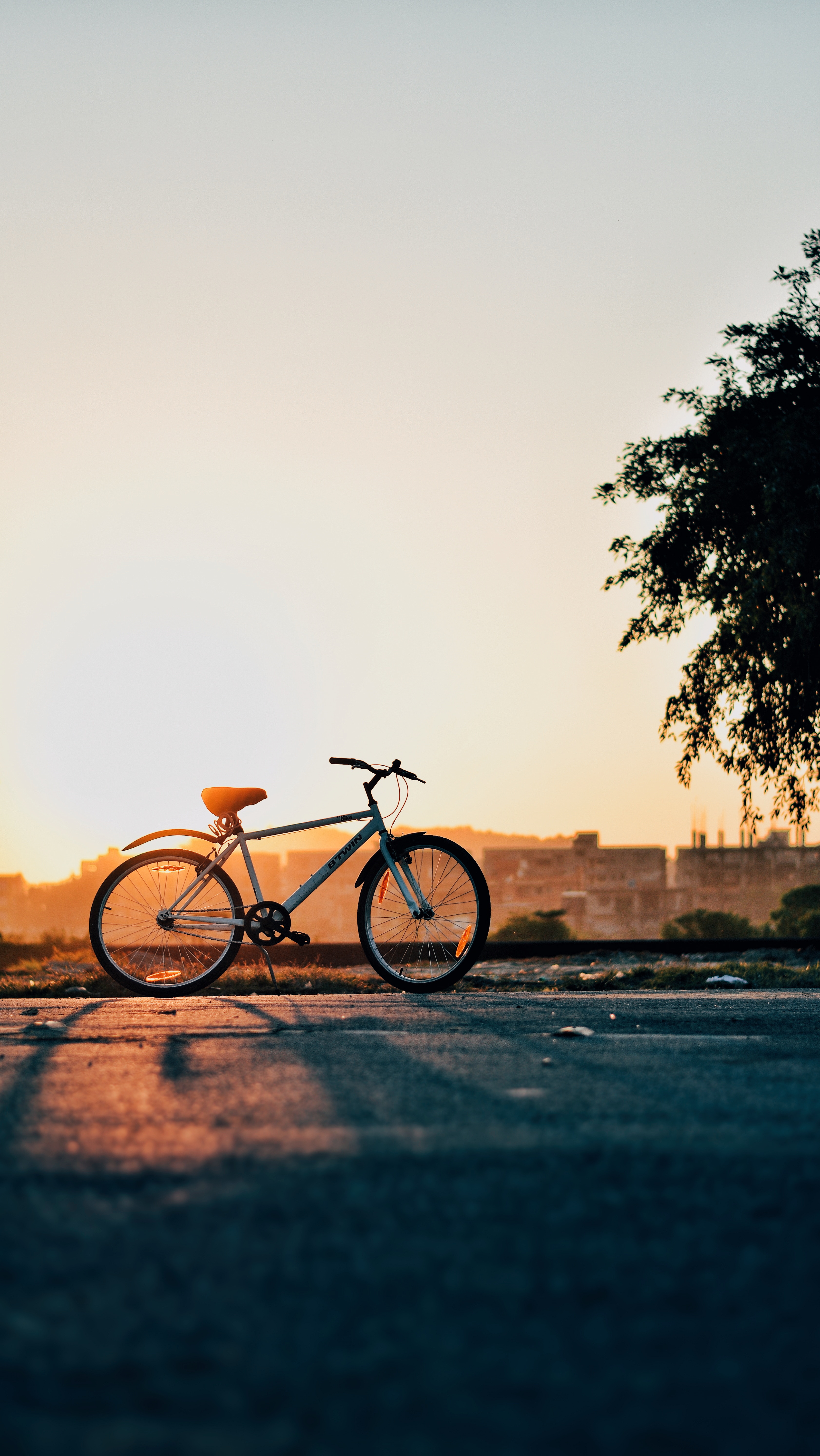 bicycle, horizon, nature, sunset, sky HD wallpaper